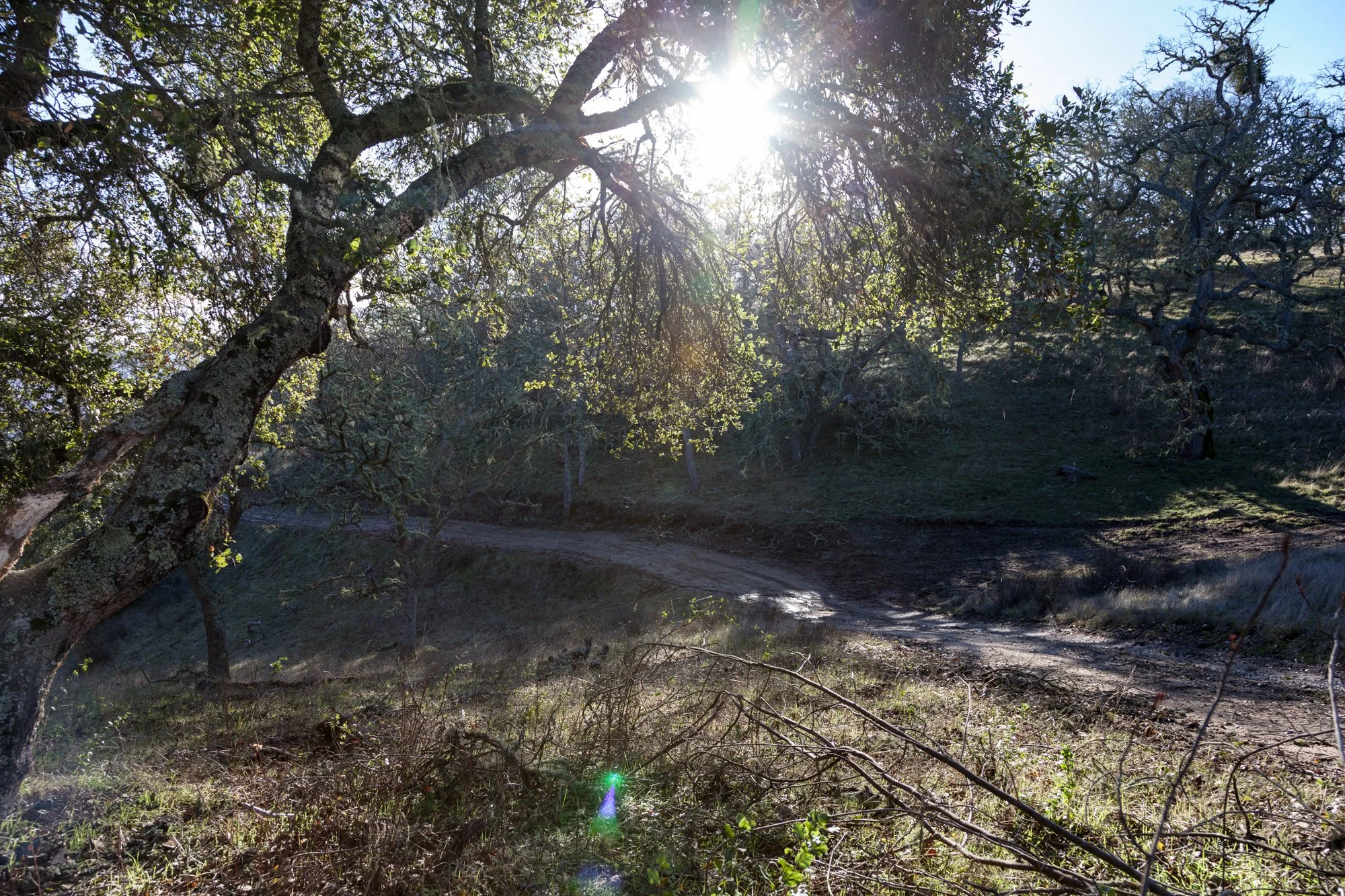 Rnch- Galante Ranch & Vineyards - Carmel Valley - 29.jpg