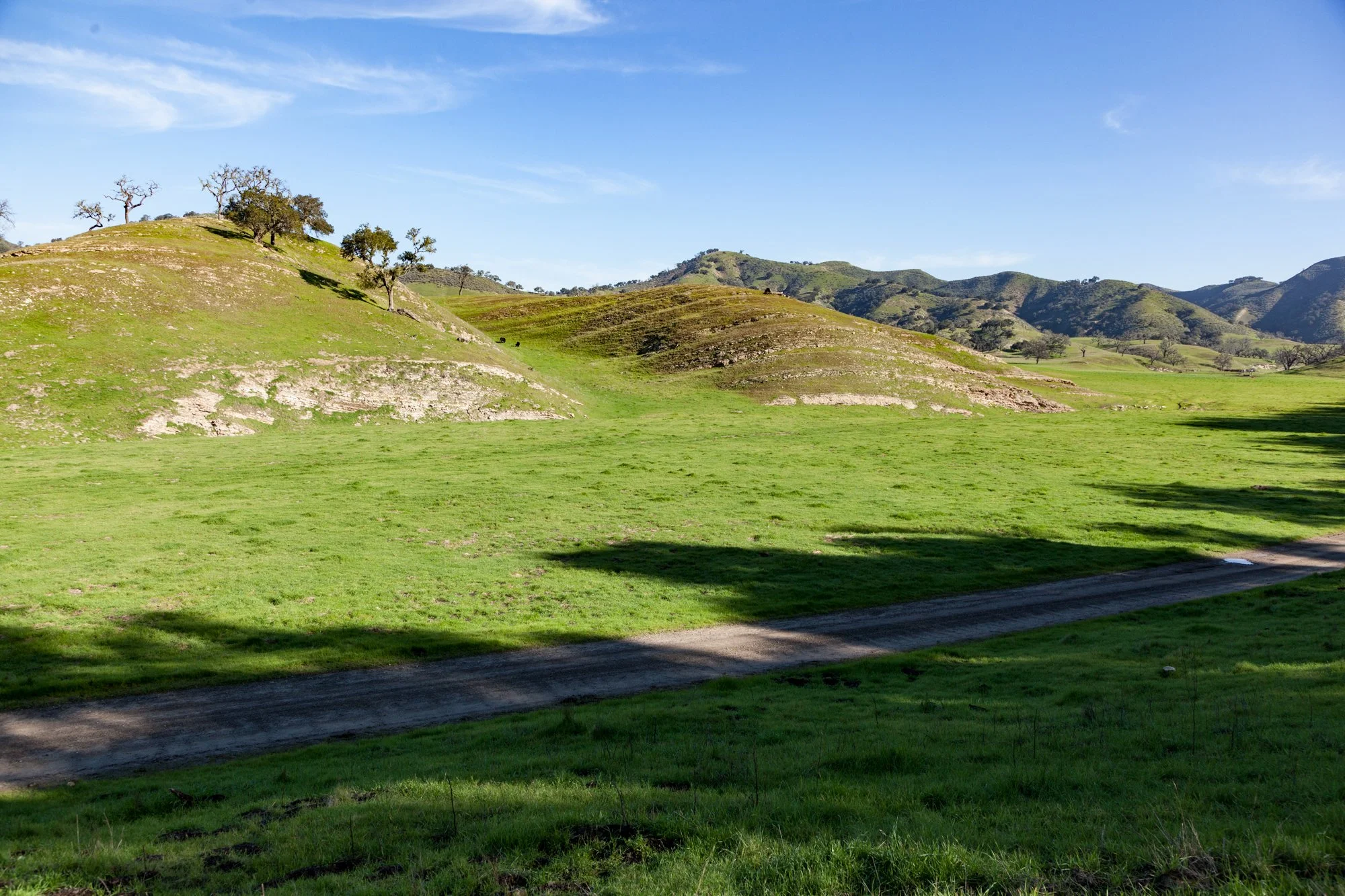 Rnch- Porter Ranch - Santa Maria - 10.jpg