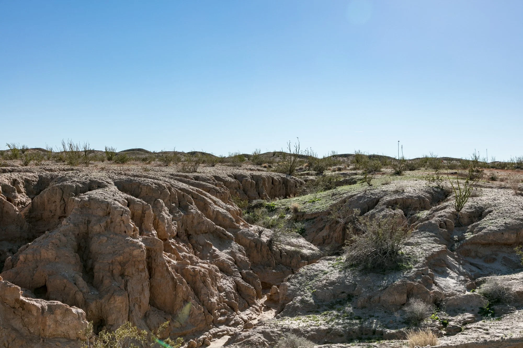 Ntr- Anza Borrego - Badlands - 0219 -3.jpg