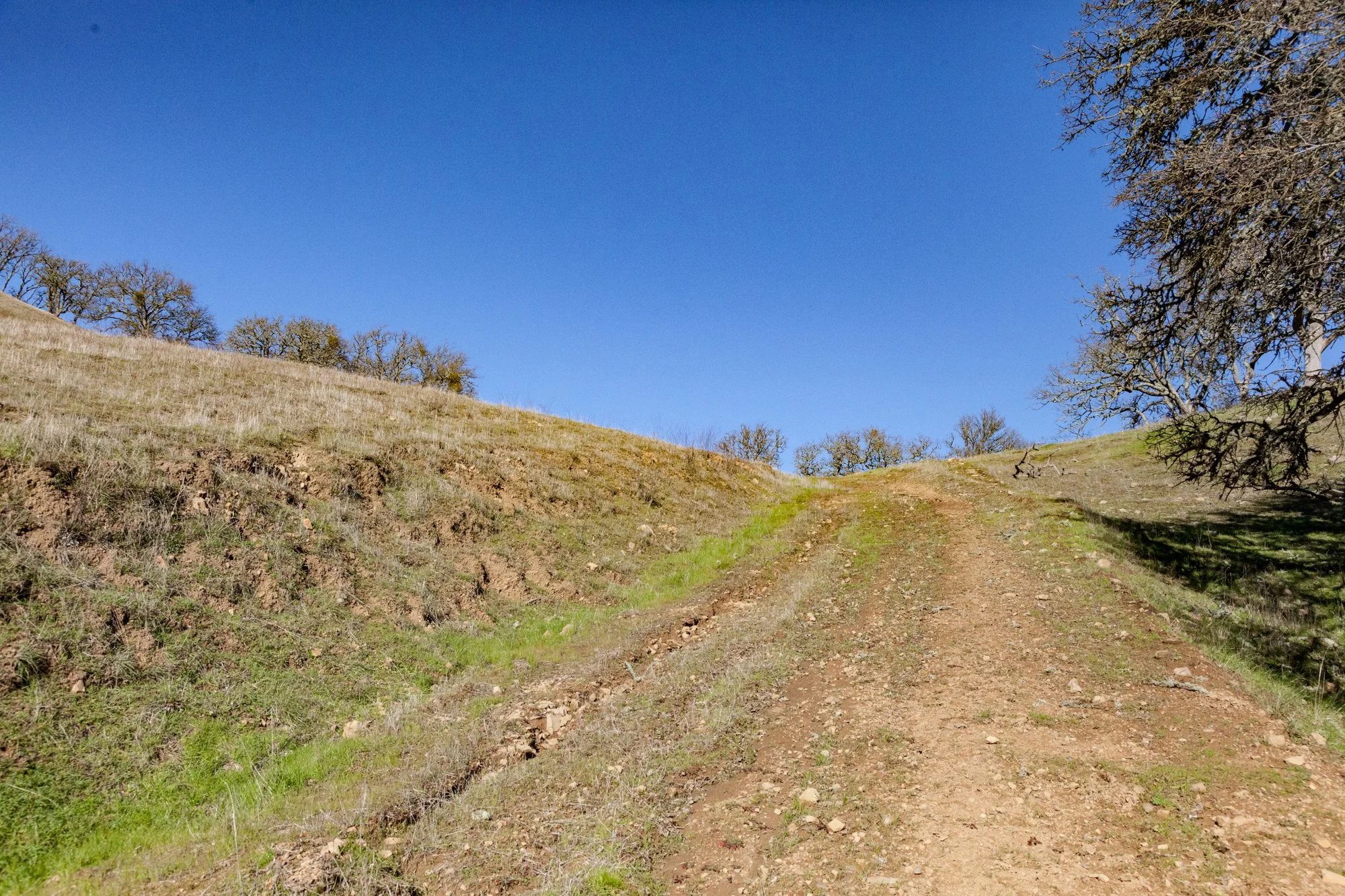 Rnch- Santa Margarita Ranch - 40.jpg