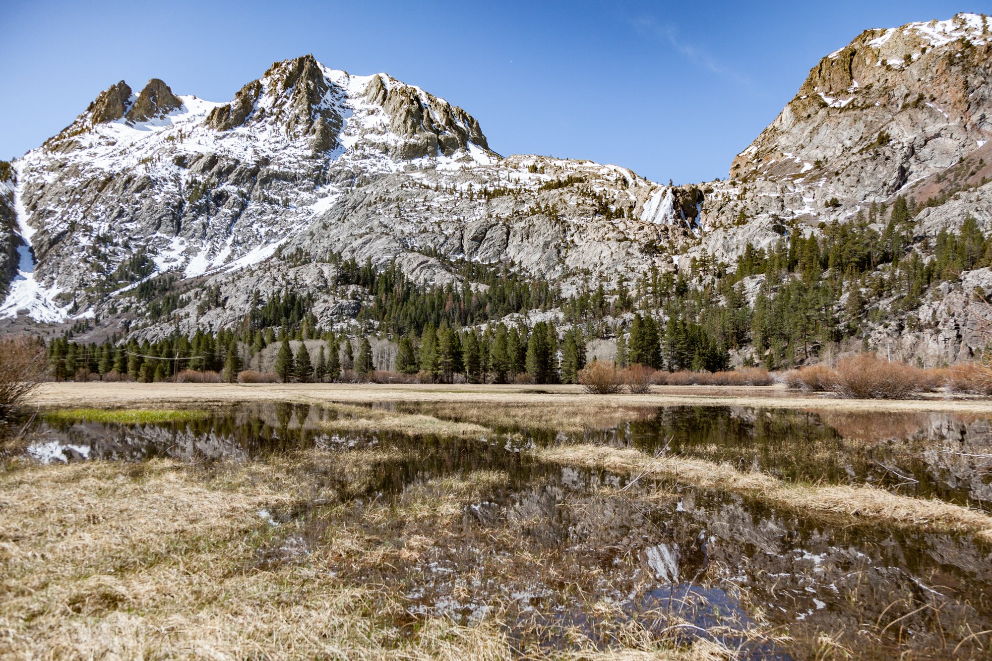 Ntr- Blacks Pond & Meadow - June Lake -1.jpg