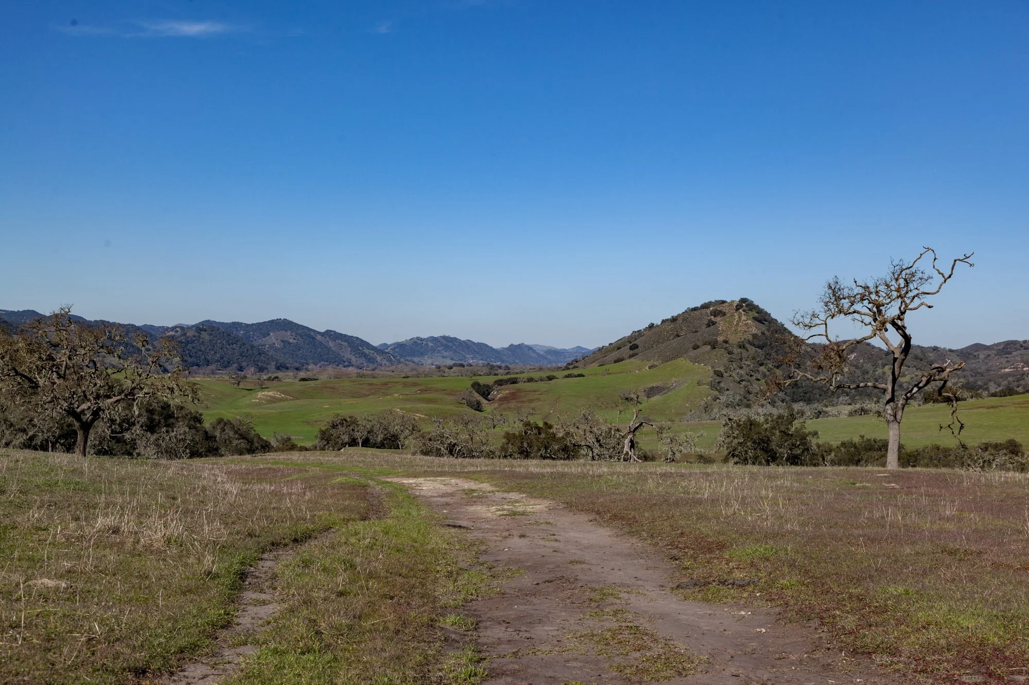 Rnch- Porter Ranch - Santa Maria - 65.jpg