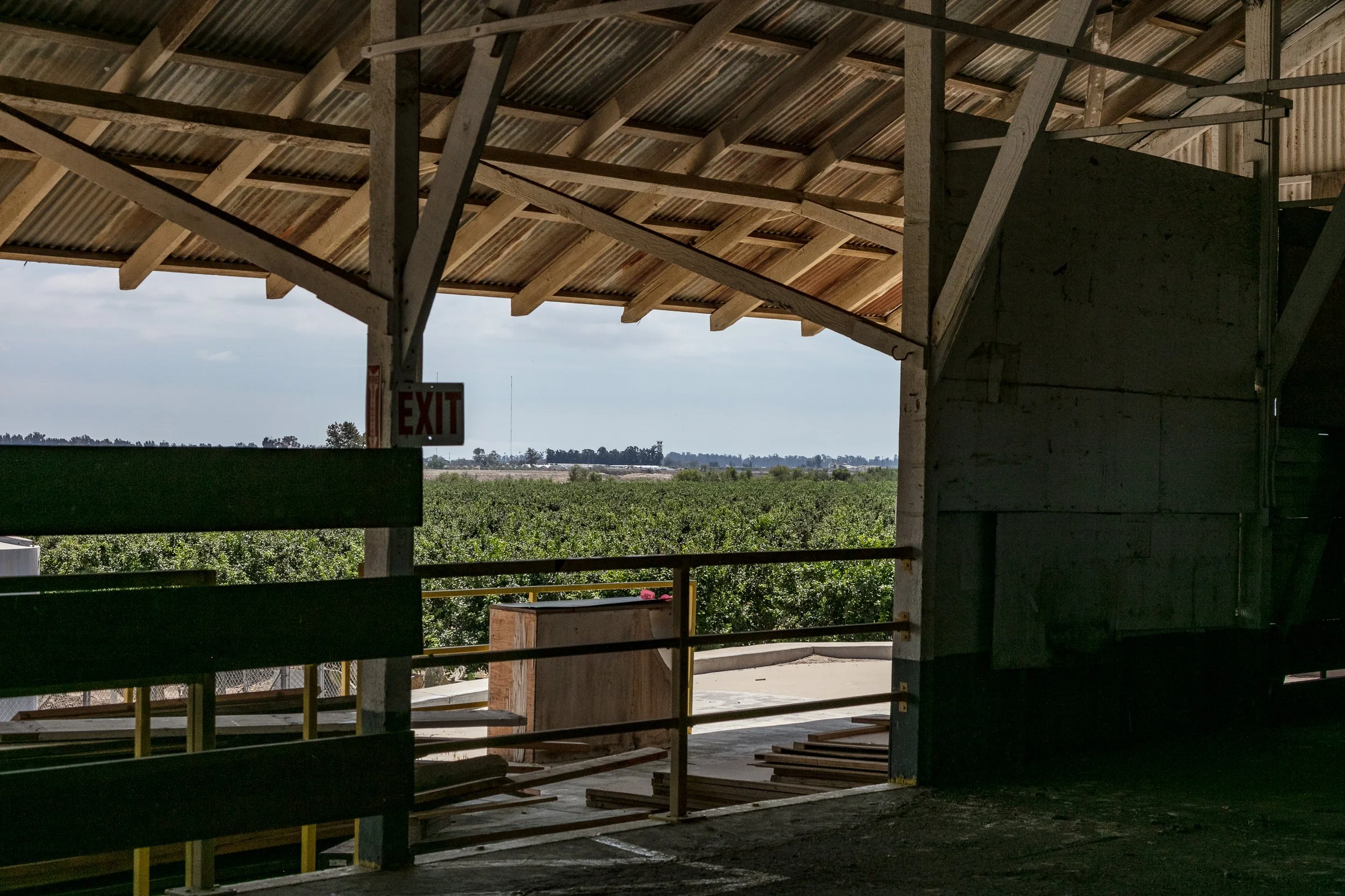 Limoneira Farms - Santa Paula -76.jpg