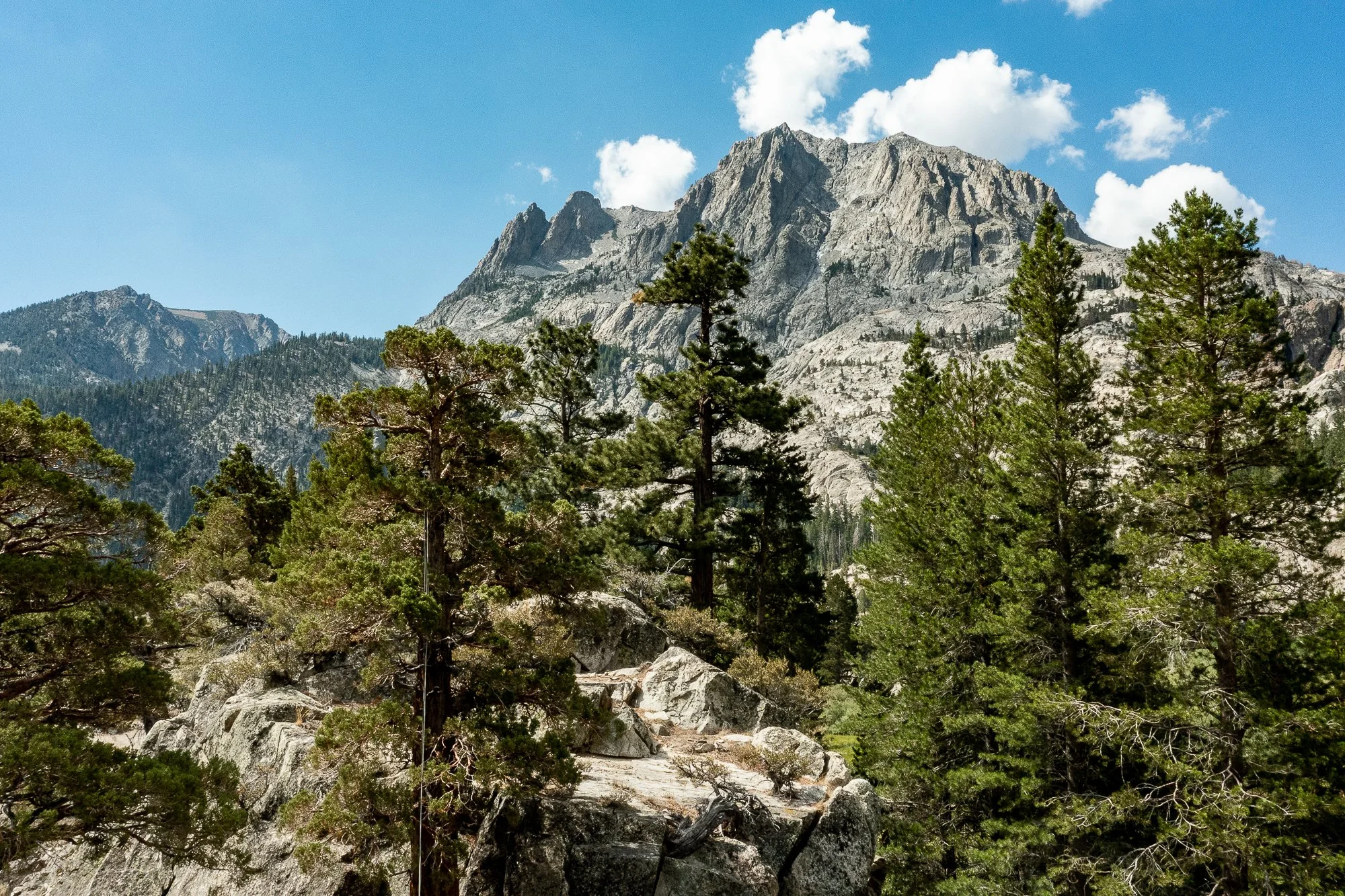 Blacks Pond - Meadow & Rock Outcrop - Drone -June -Lake- -12.jpg