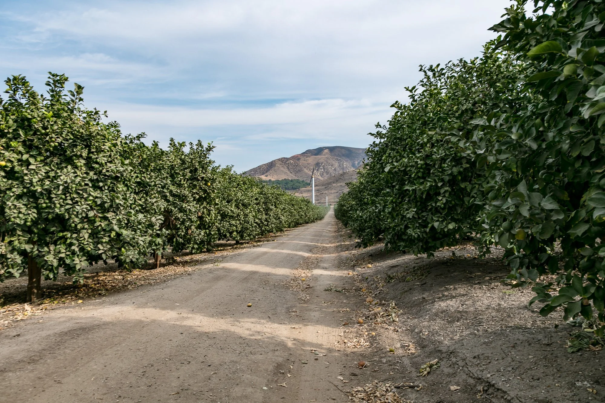 Rancho Temescal - Ranch Roads - Piru -8.jpg