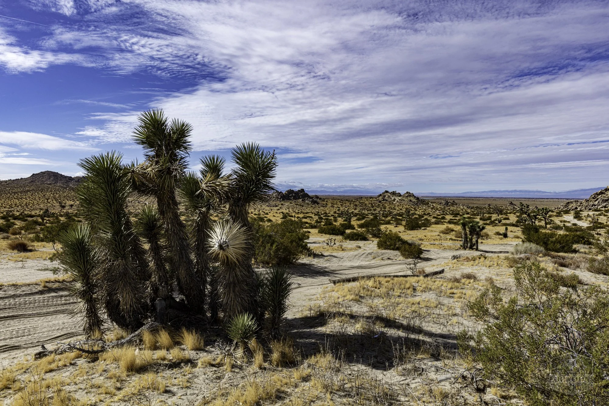 Rocky Buttes - Lancaster - 112424 -057.jpg