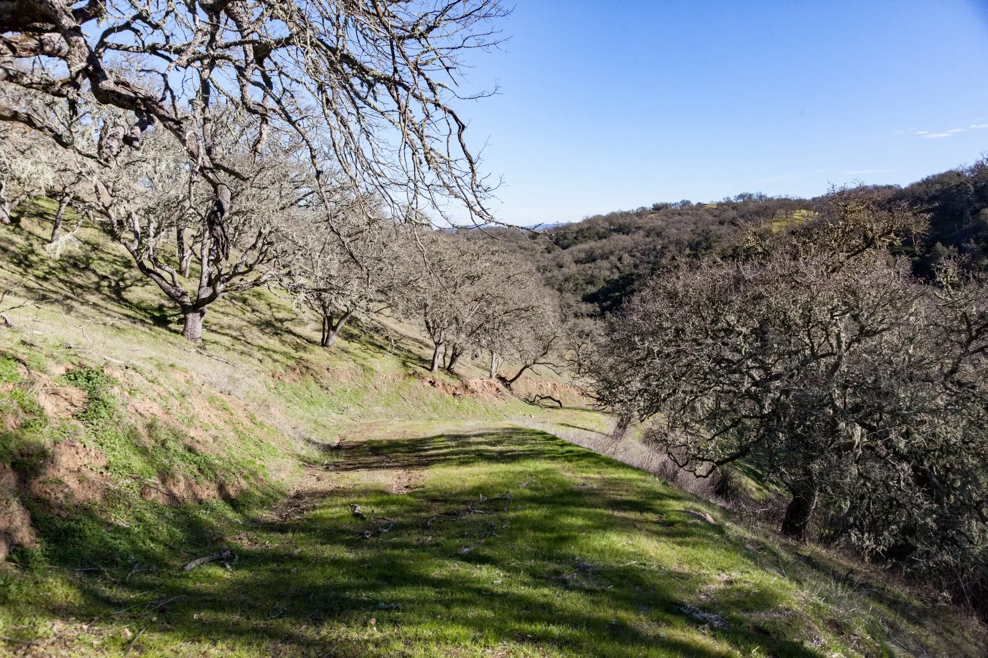Rnch- Santa Margarita Ranch - 41.jpg