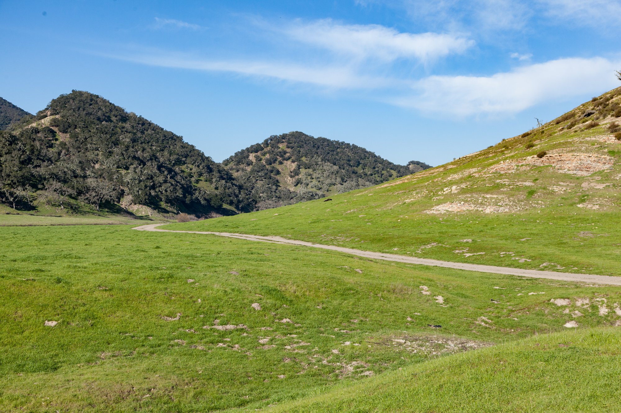 Rnch- Porter Ranch - Santa Maria - 14.jpg