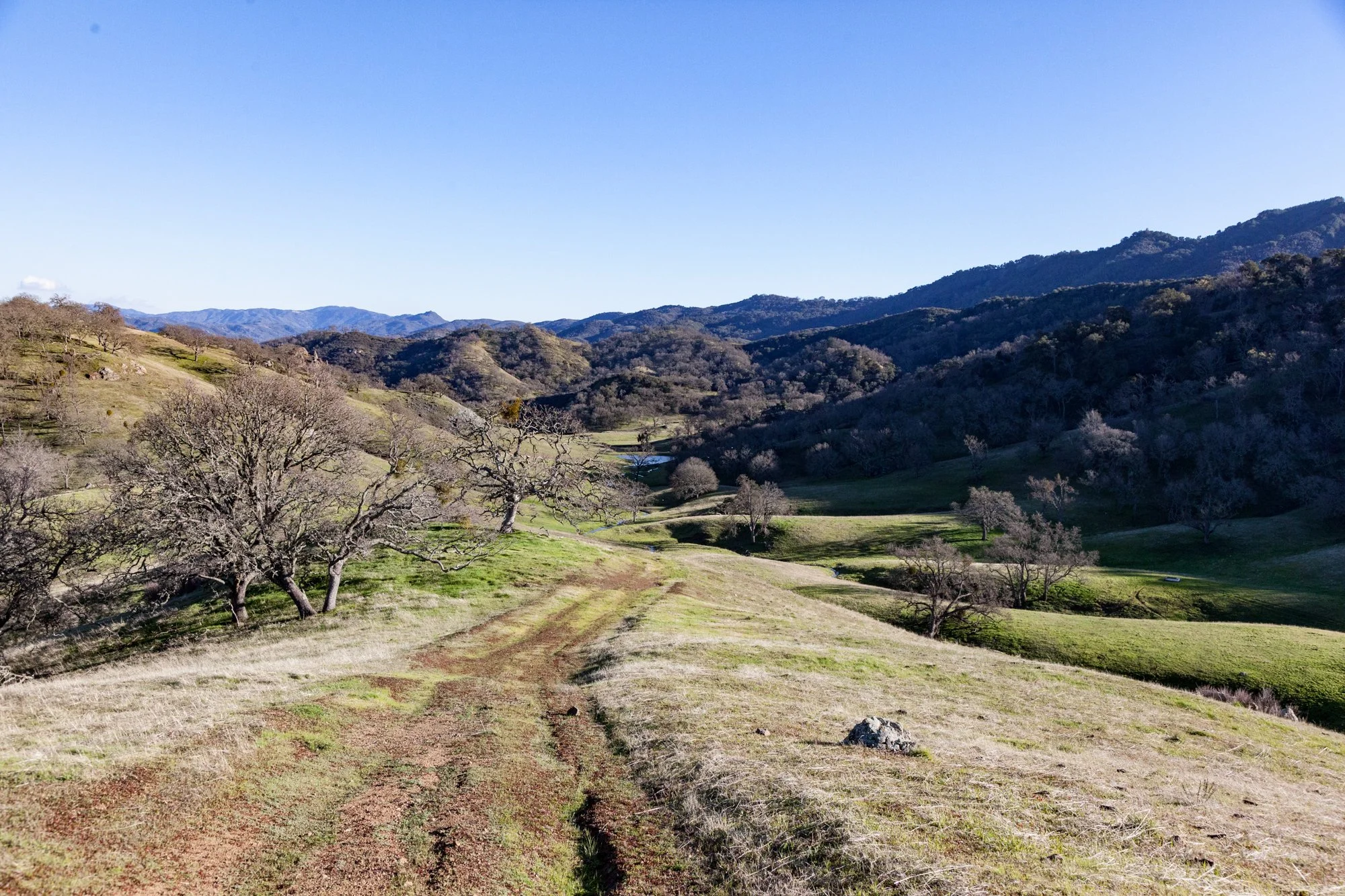 Rnch- Santa Margarita Ranch - 90.jpg