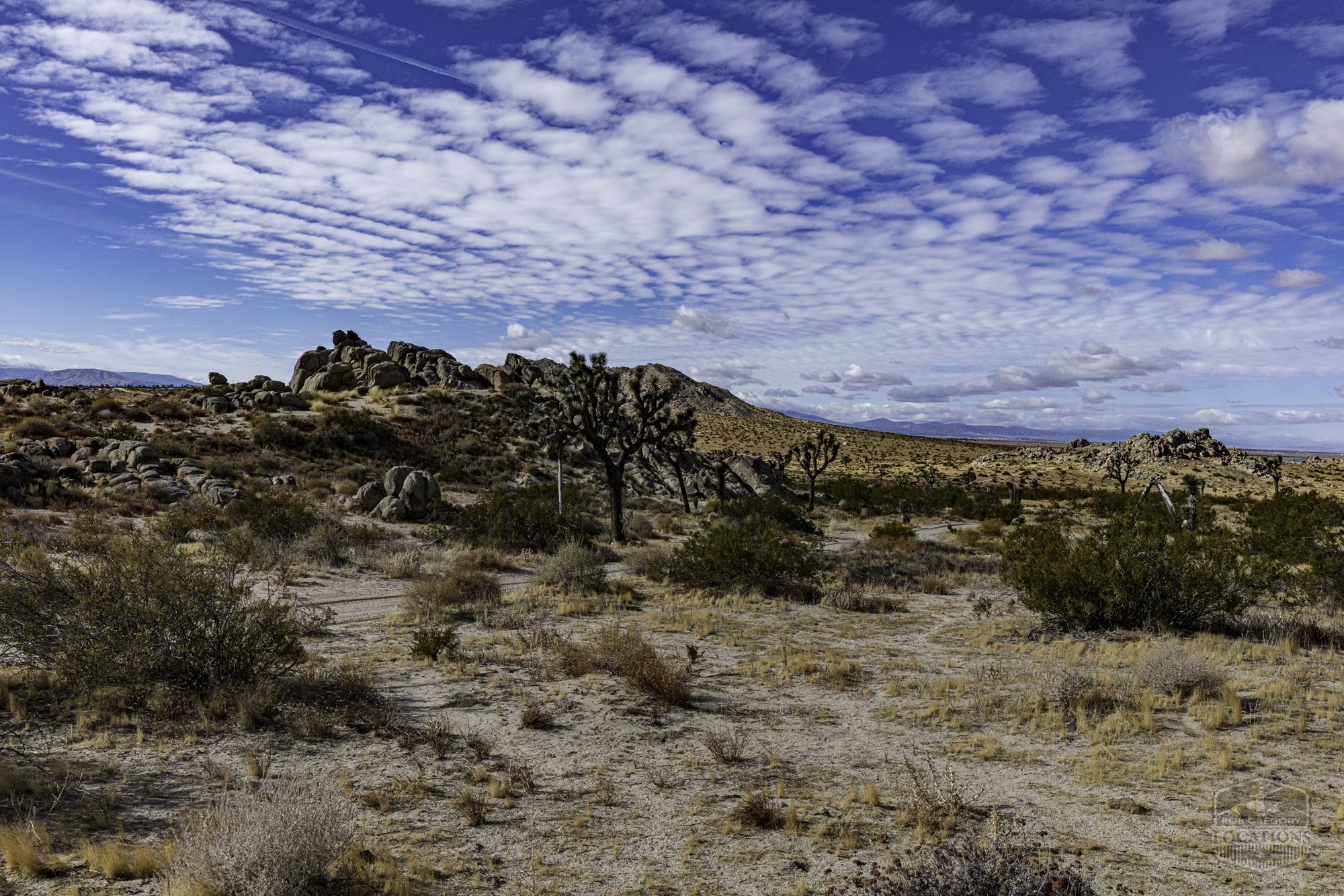Rocky Buttes - Lancaster - 112424 -011.jpg