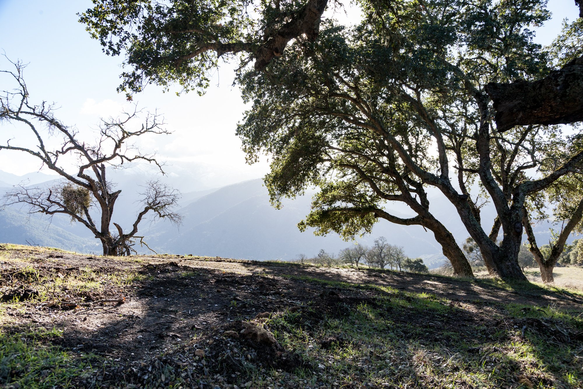 Rnch- Galante Ranch & Vineyards - Carmel Valley - 22.jpg