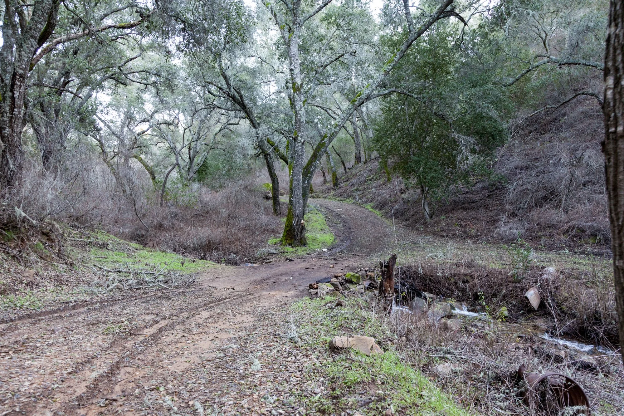 Rnch- Santa Margarita Ranch - 82.jpg