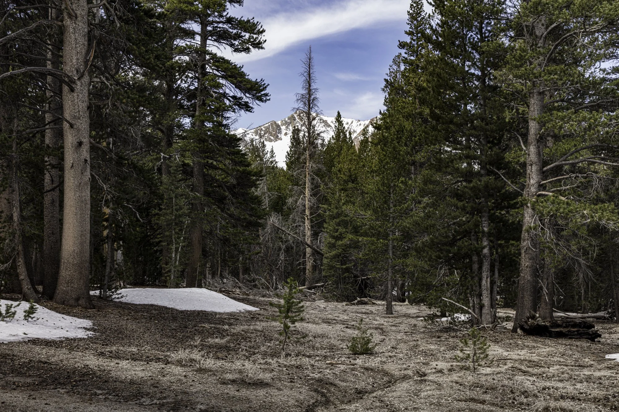 June Mtn - Narrow Maint Rd - June Lake- -10.jpg