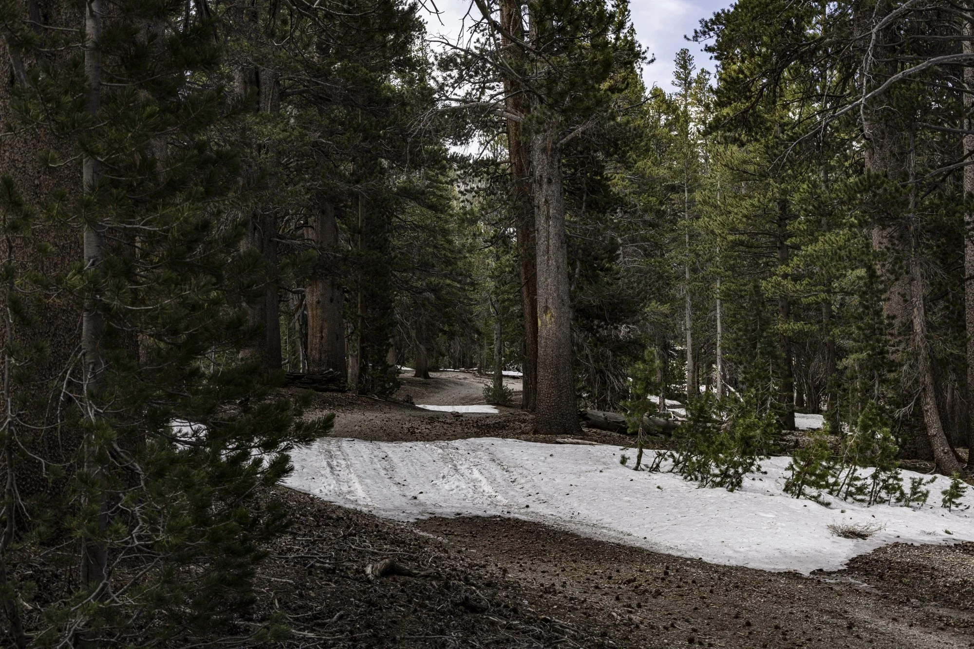 June Mtn - Narrow Maint Rd - June Lake- -9.jpg