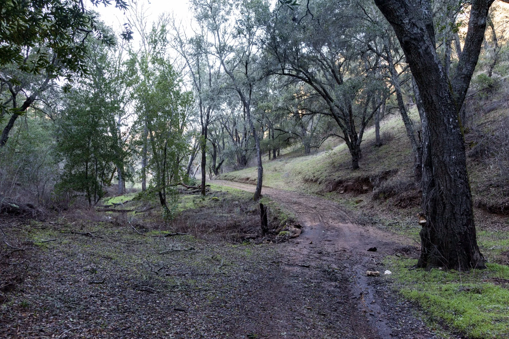 Rnch- Santa Margarita Ranch - 80.jpg