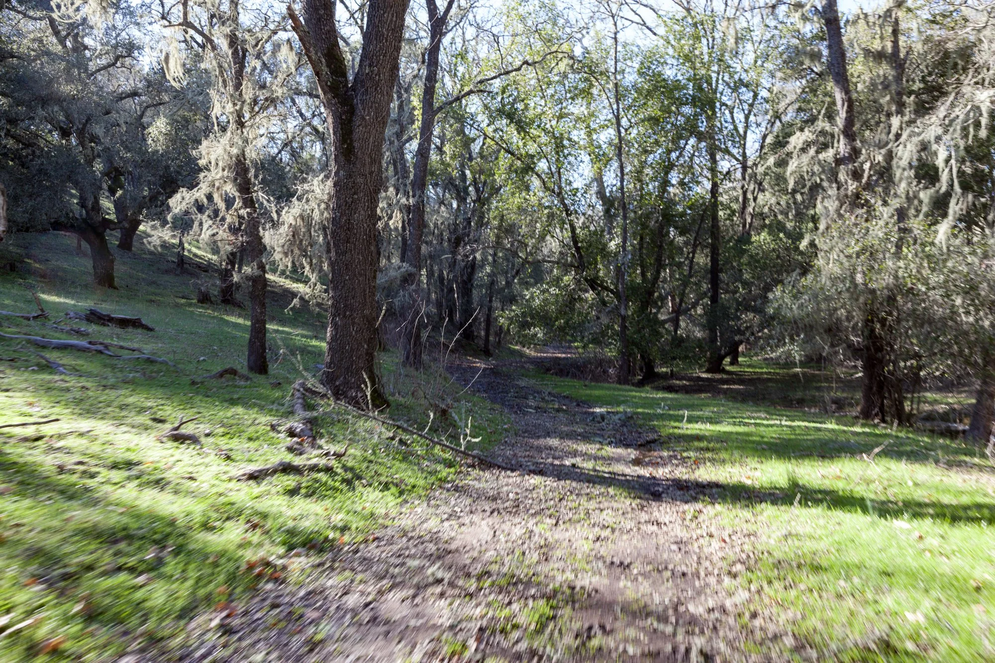 Rnch- Santa Margarita Ranch - 28.jpg