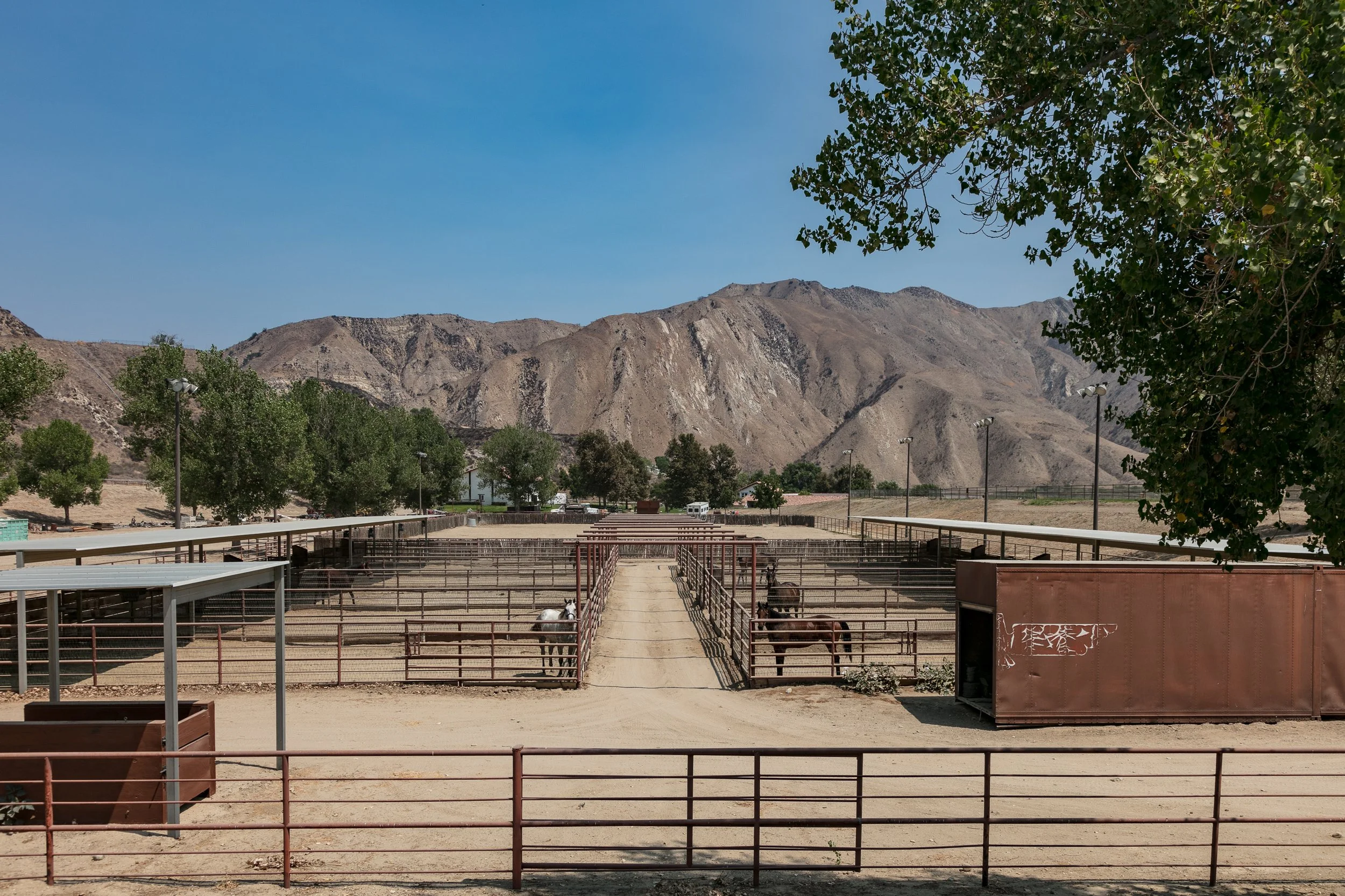 Rancho Temescal - Cattle Ranch - Piru -68.jpg