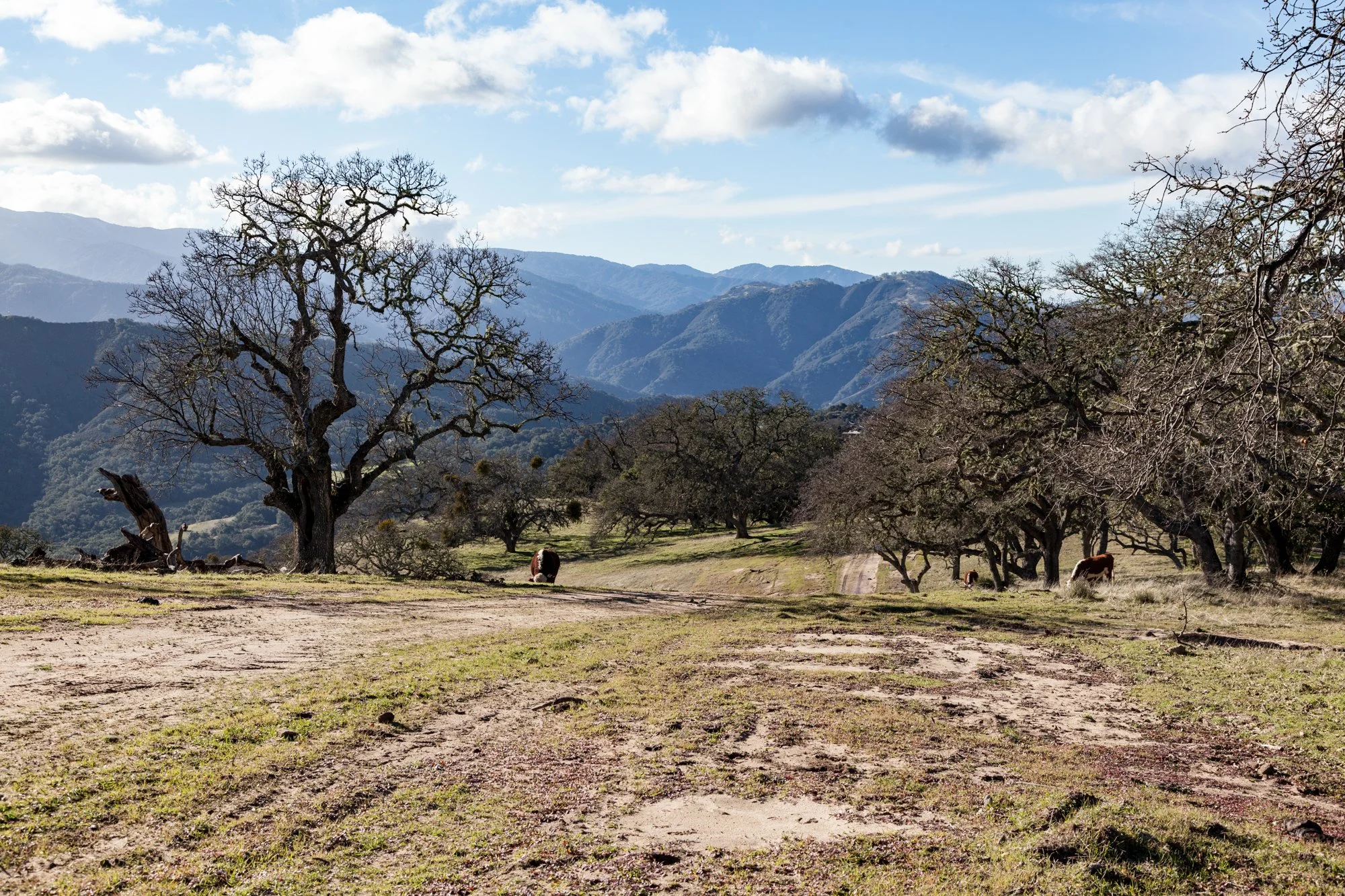 Rnch- Galante Ranch & Vineyards - Carmel Valley - 9.jpg