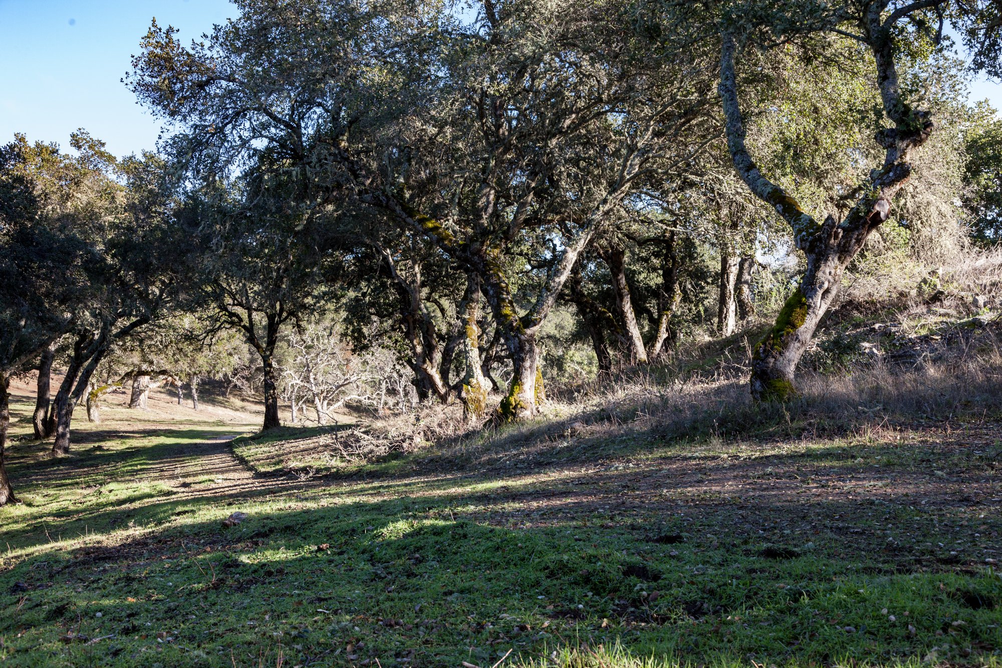 Rnch- Galante Ranch & Vineyards - Carmel Valley - 25.jpg