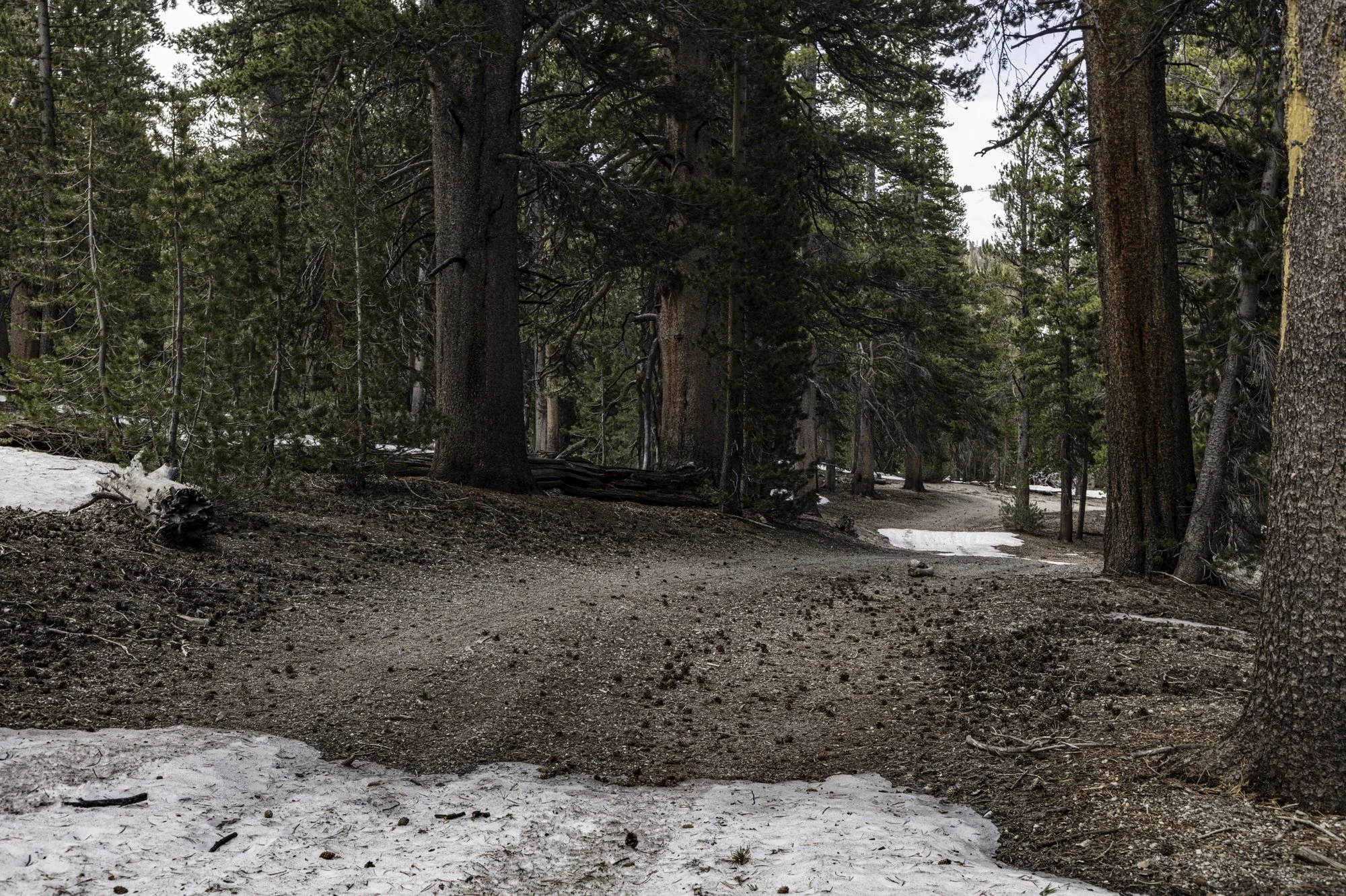 June Mtn - Narrow Maint Rd - June Lake- -12.jpg