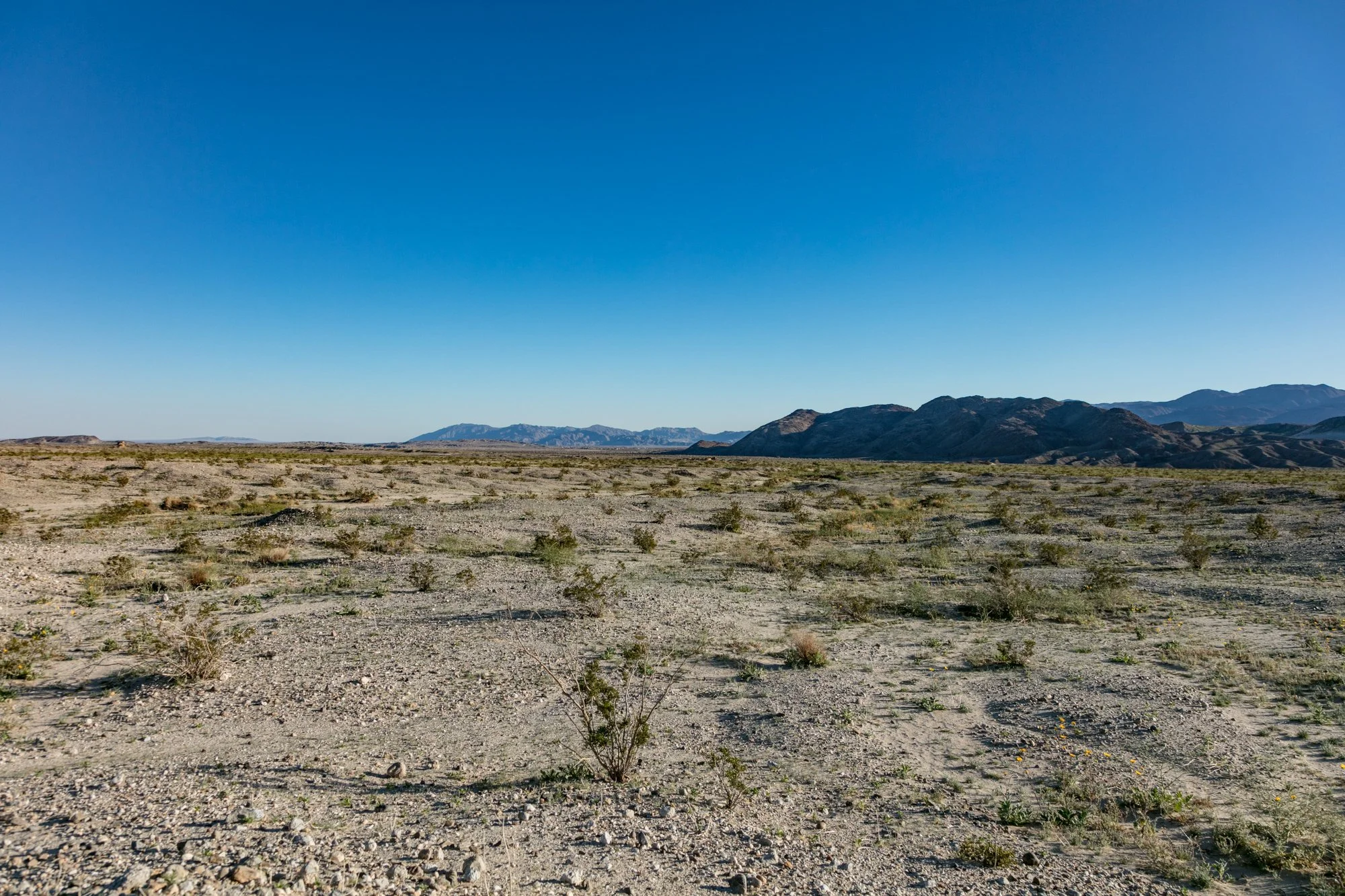 Ntr- Anza Borrego - Badlands - 0219 -55.jpg