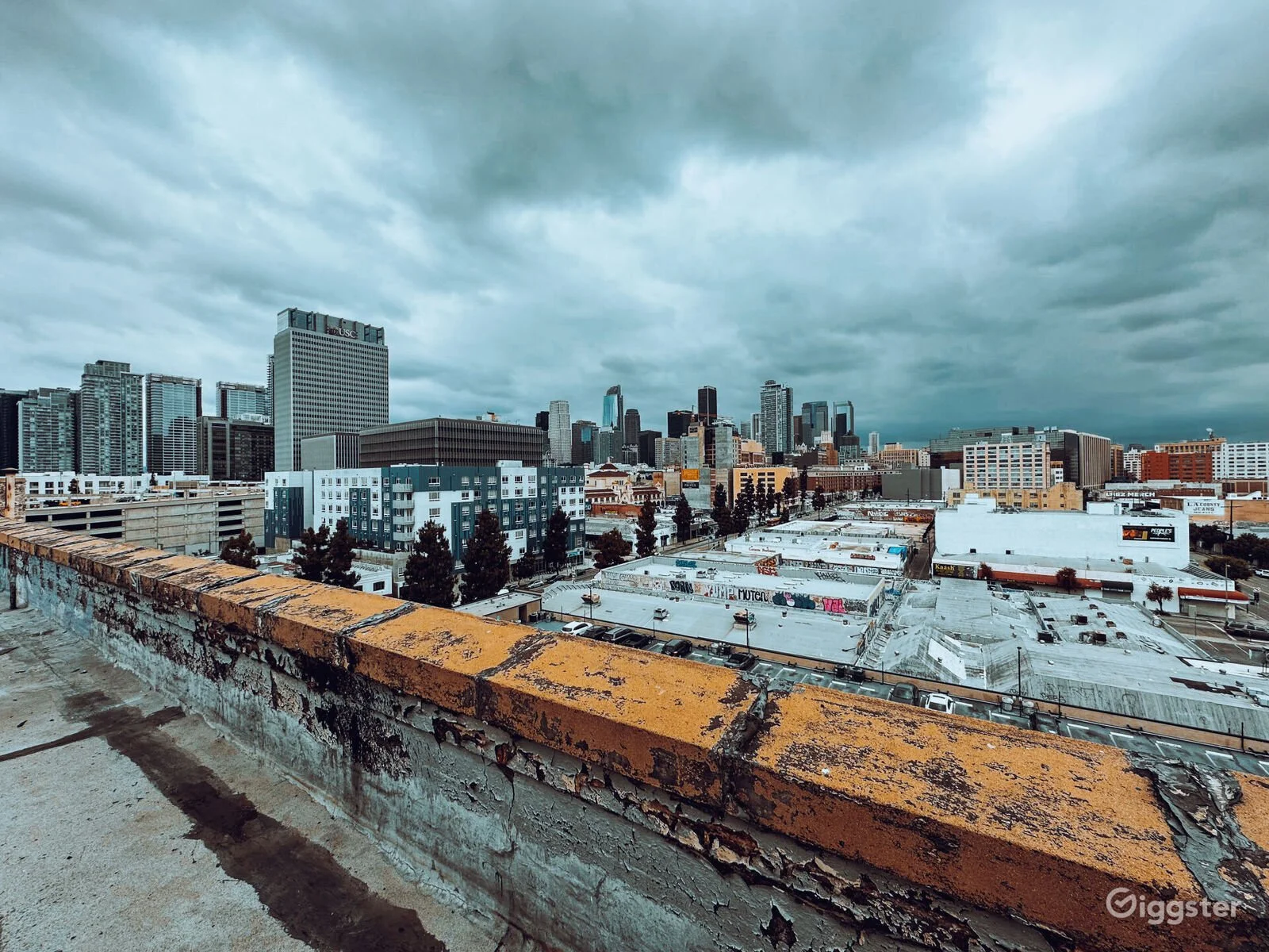 skyline-graffiti-rooftop-dtla-14.jpg