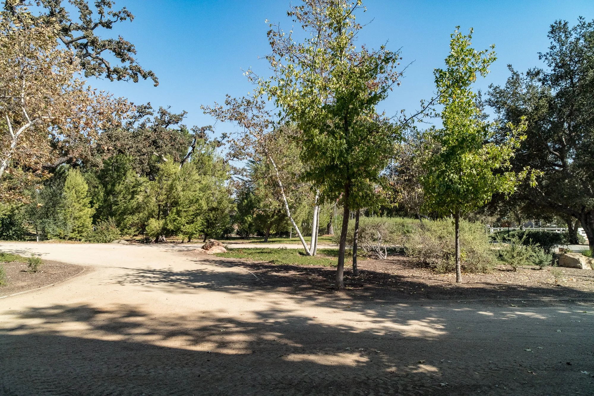 El Campeon - Windy Hill Ranch - Thousand Oaks - 101North -21.jpg