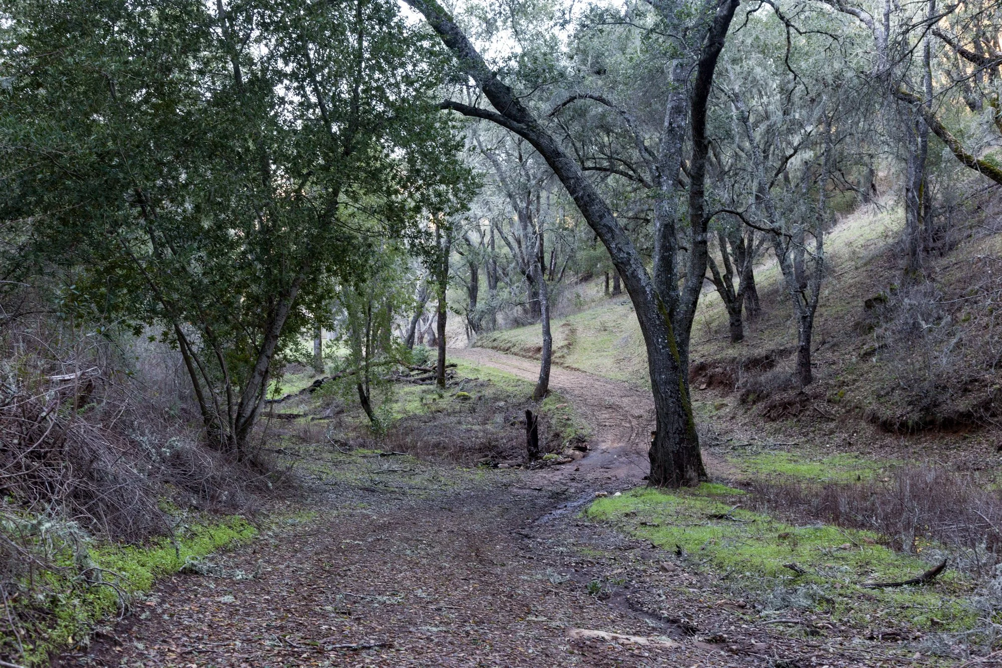 Rnch- Santa Margarita Ranch - 78.jpg