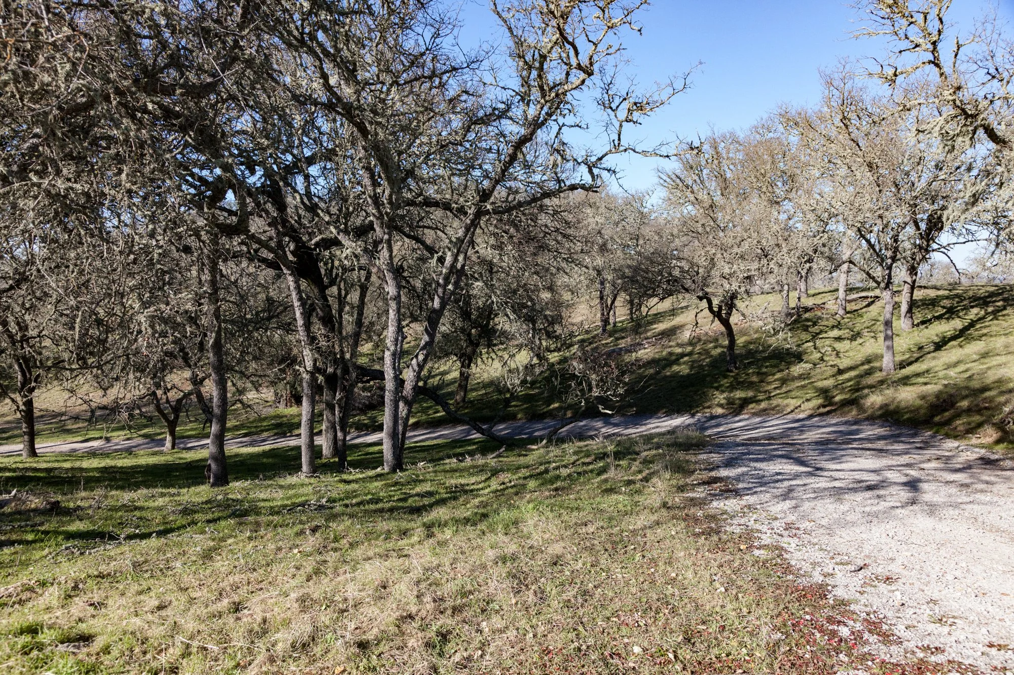 Rnch- Santa Margarita Ranch - 48.jpg