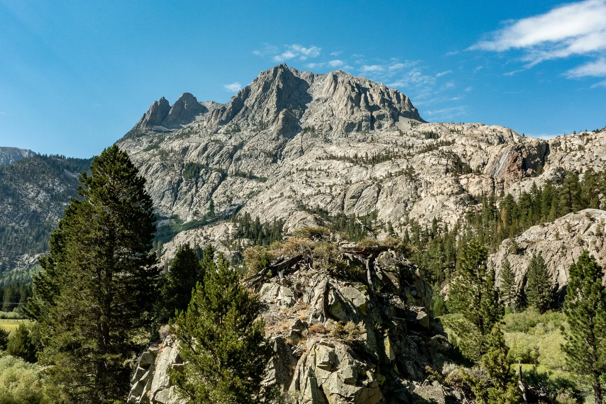 Blacks Pond - Meadow & Rock Outcrop - Drone -June -Lake- -8.jpg