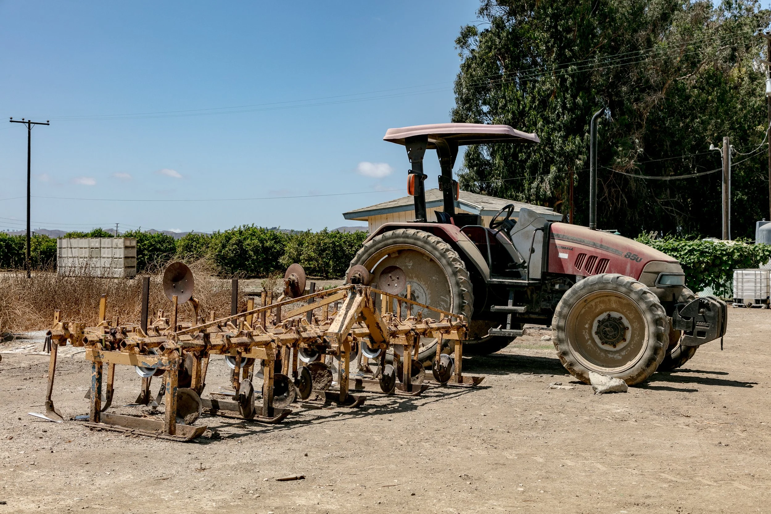 Limoneira Farms - Santa Paula -89.jpg