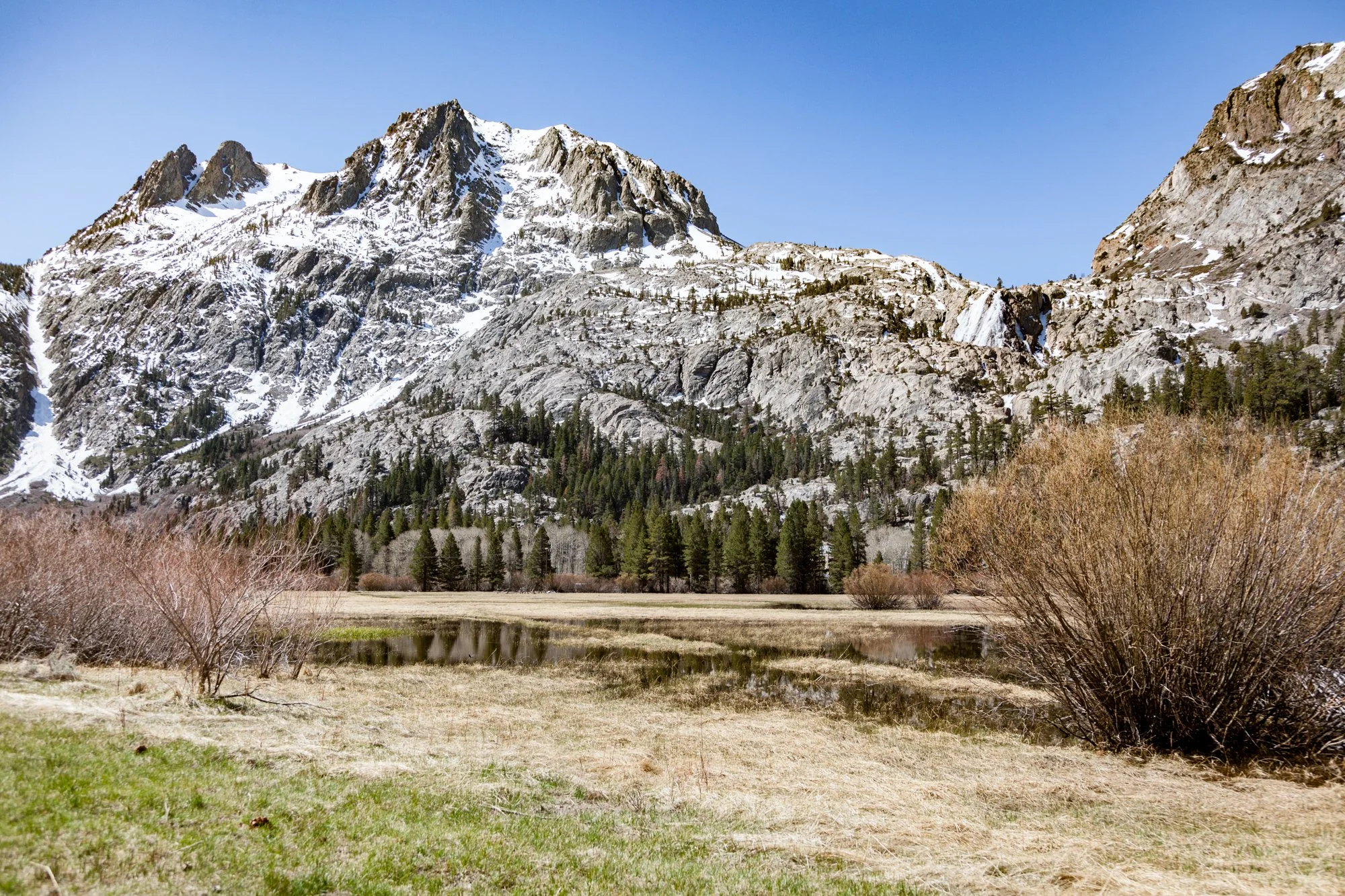 Ntr- Blacks Pond & Meadow - June Lake -15.jpg