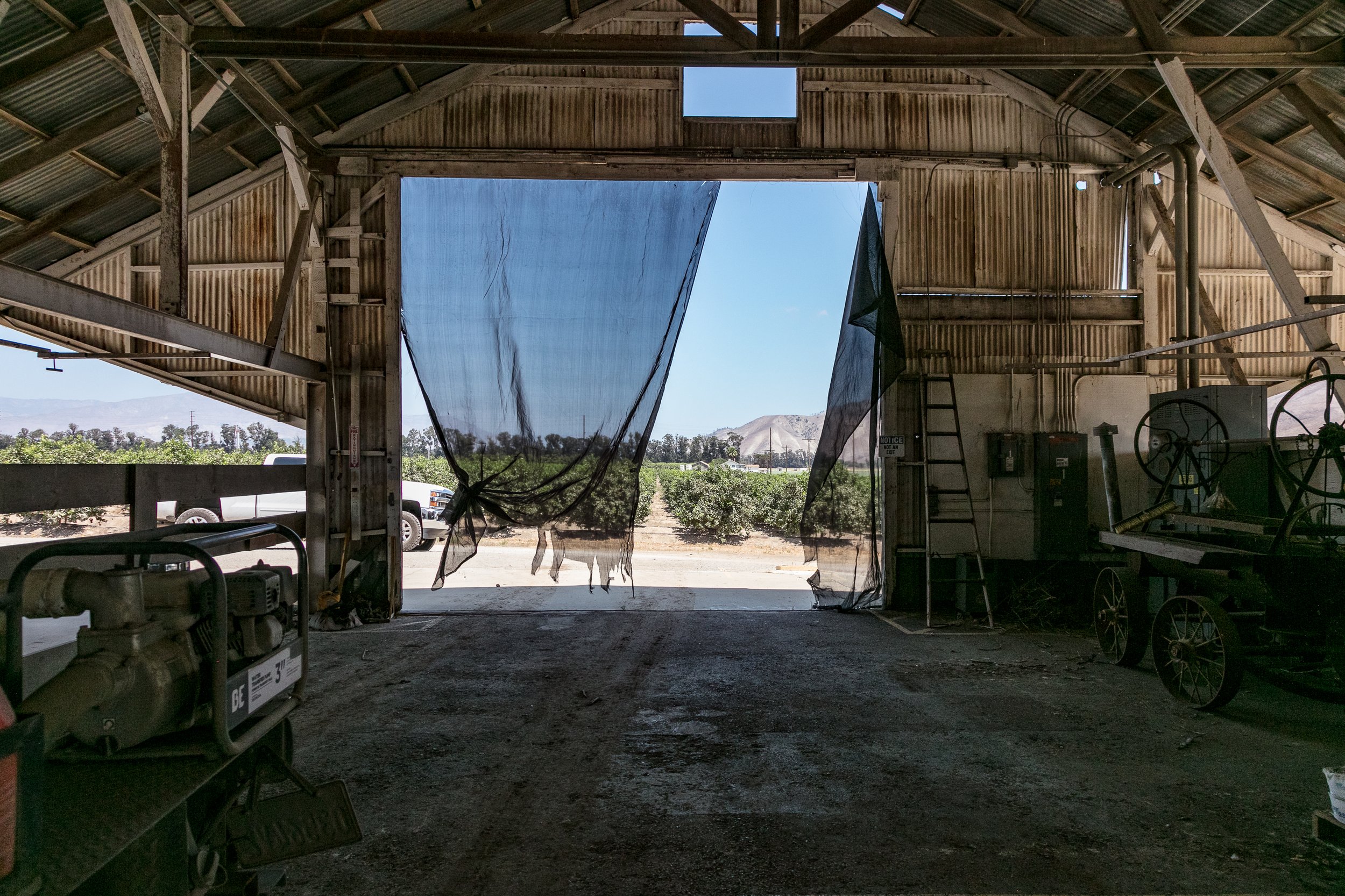 Limoneira Farms - Santa Paula -77.jpg