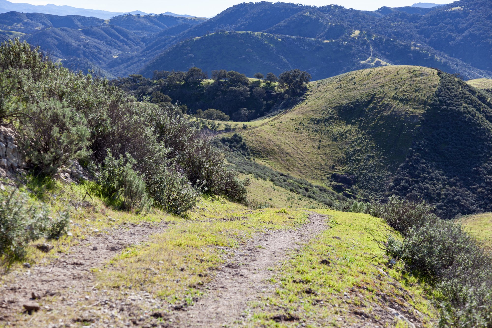 D-Scout - Sigma18 - Porter Ranch - 11.jpg