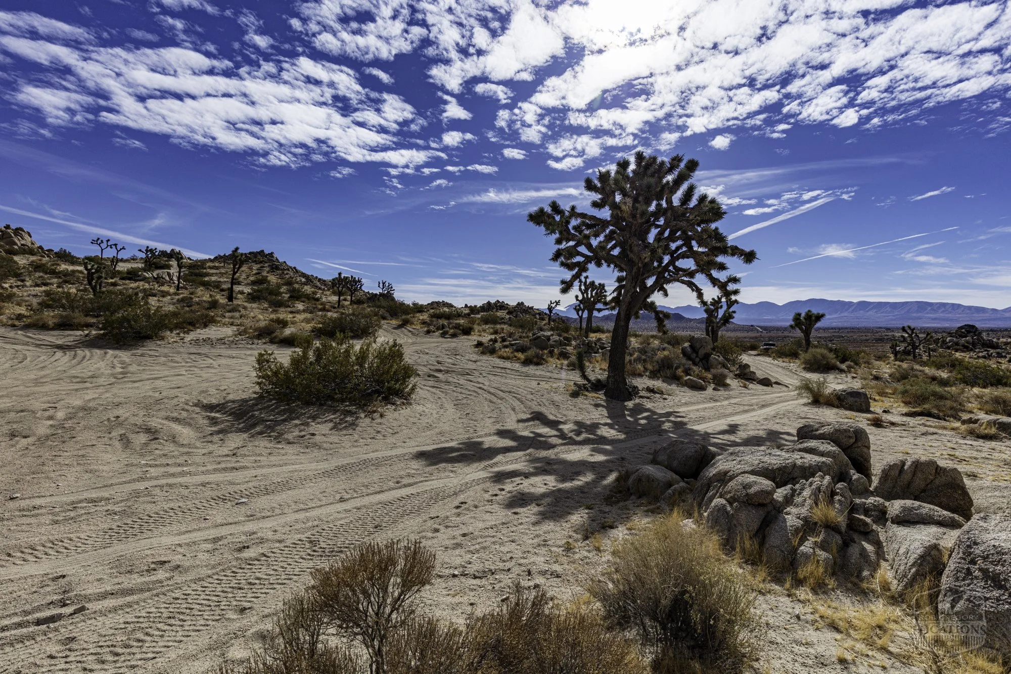 Rocky Buttes - Lancaster - 112424 -028.jpg