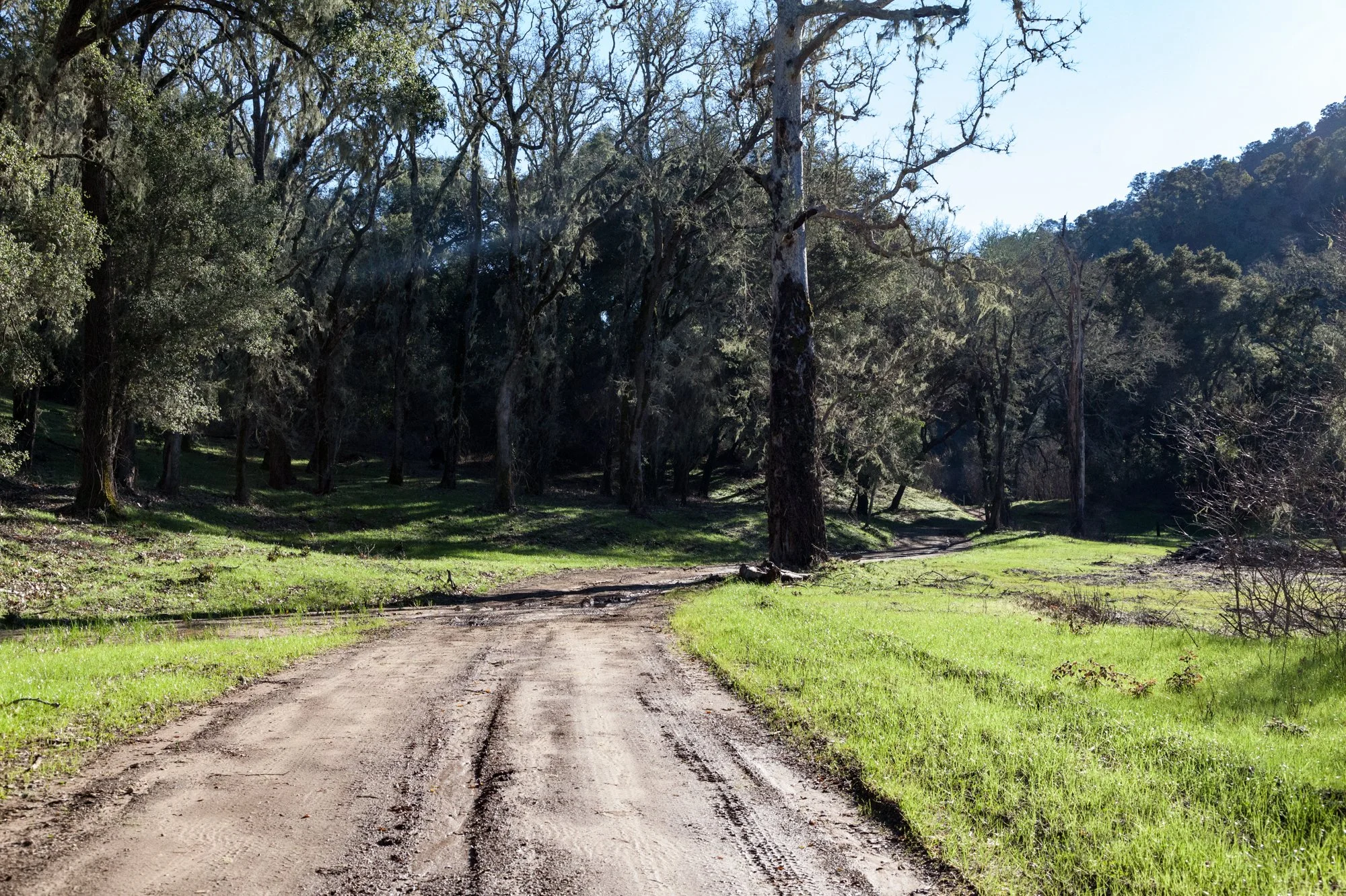 Rnch- Santa Margarita Ranch - 67.jpg