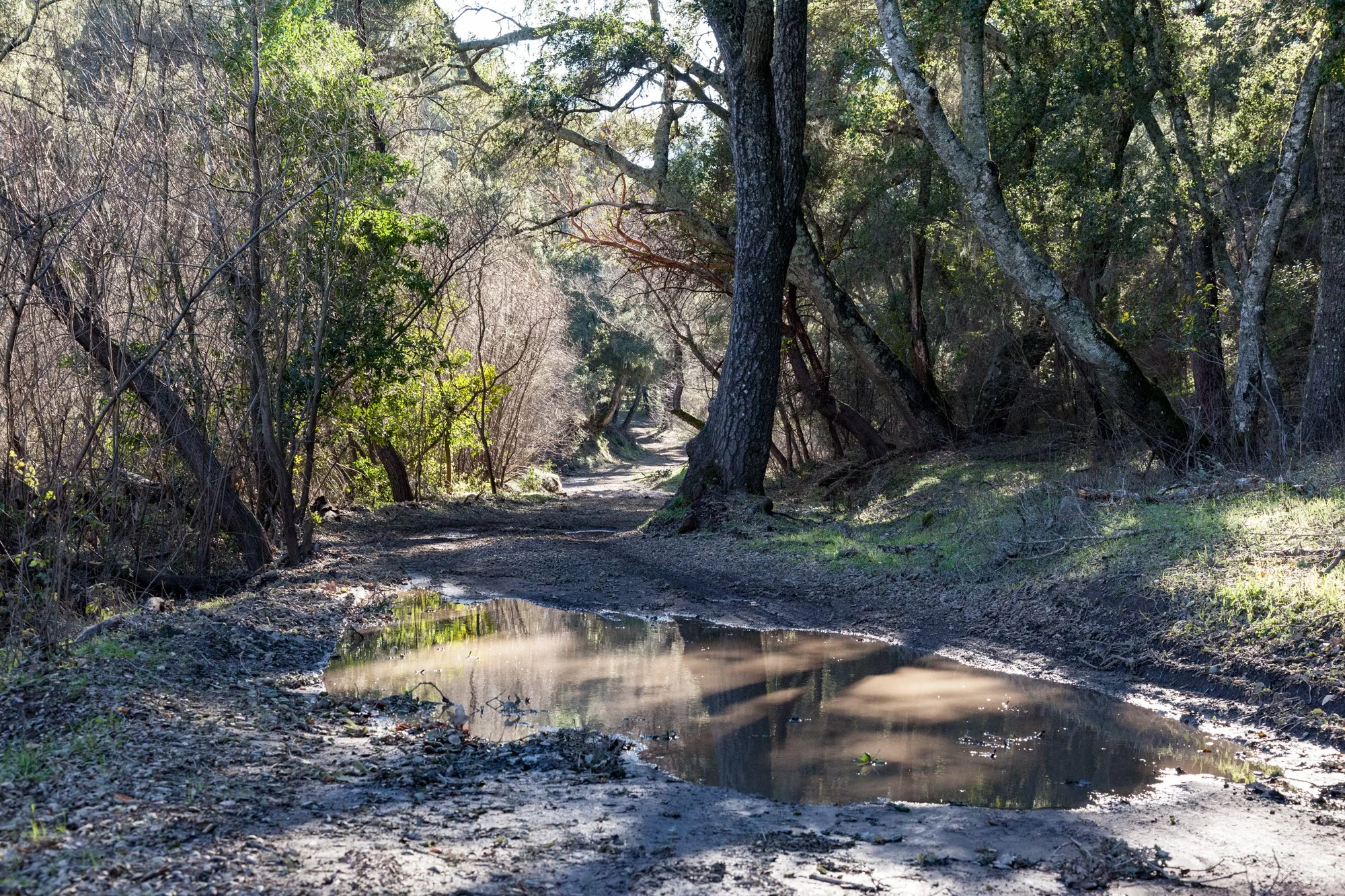 Rnch- Santa Margarita Ranch - 53.jpg