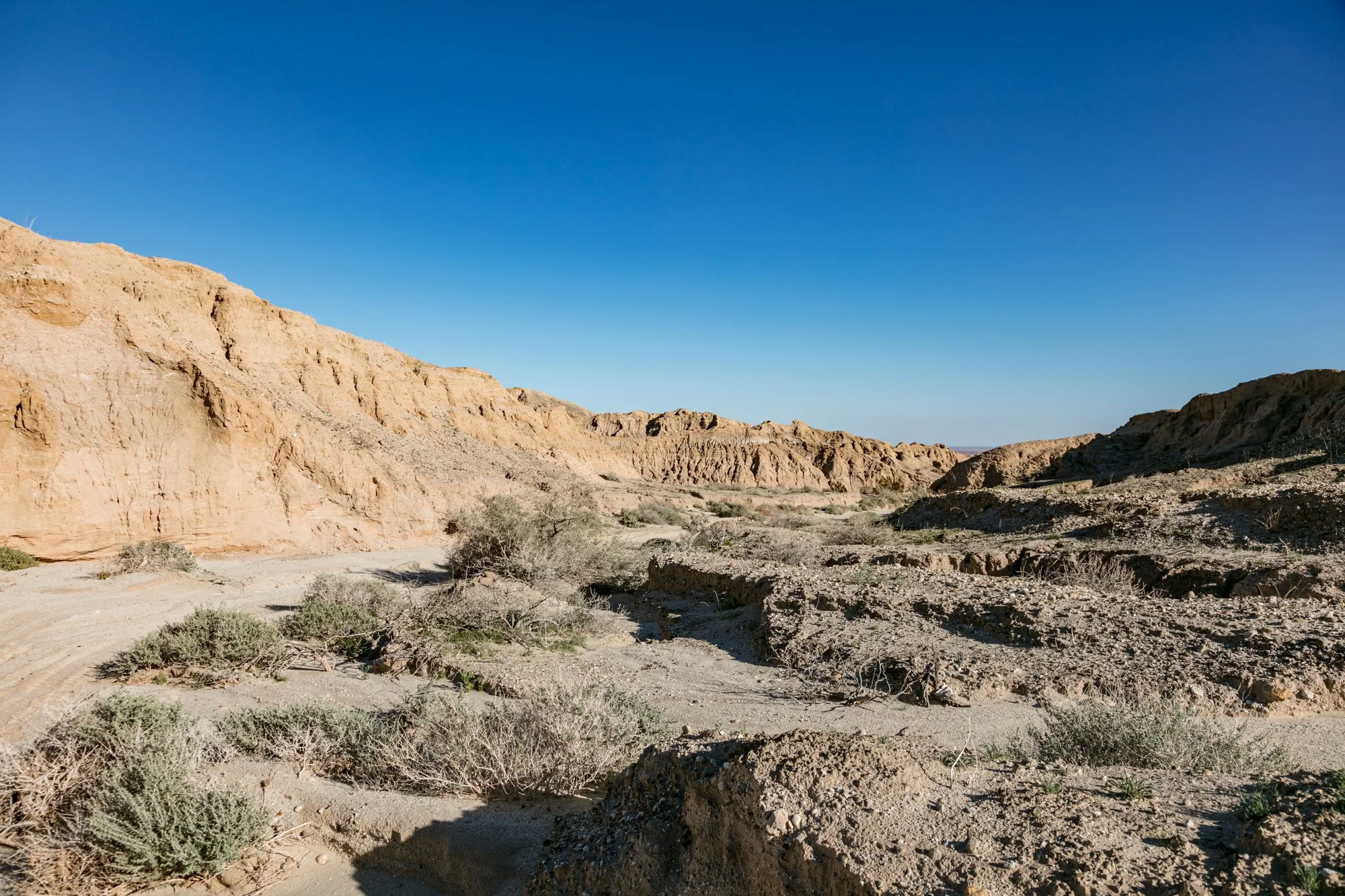Ntr- Anza Borrego - Badlands - 0219 -32.jpg