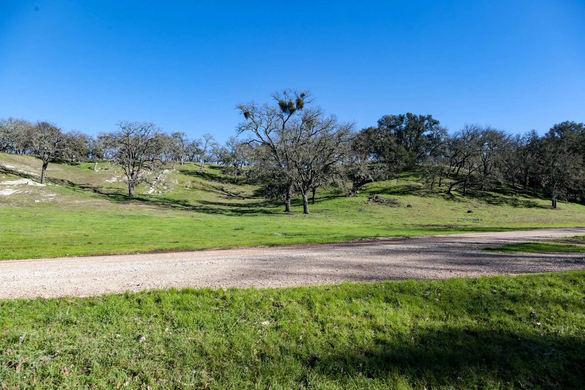 Rnch- Santa Margarita Ranch - 25.jpg