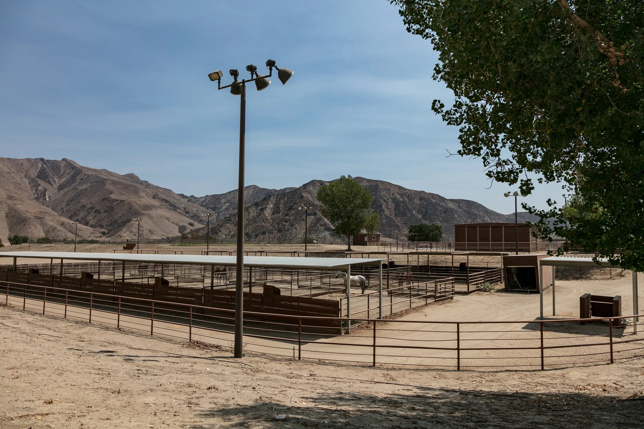 Rancho Temescal - Cattle Ranch - Piru -61.jpg