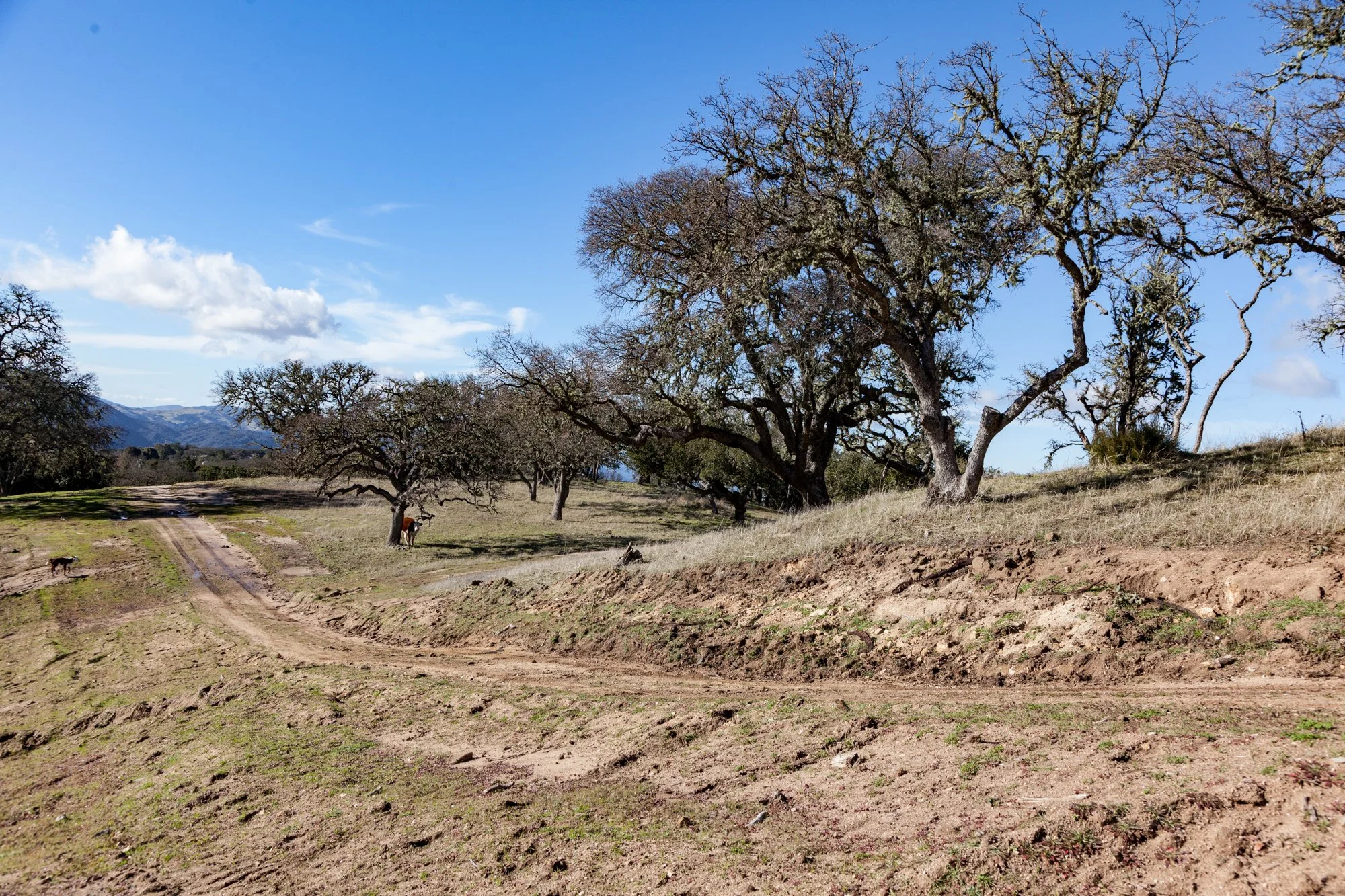 Rnch- Galante Ranch & Vineyards - Carmel Valley - 1.jpg