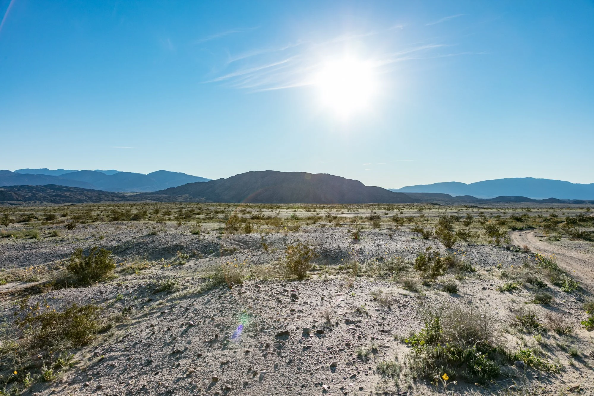 Ntr- Anza Borrego - Badlands - 0219 -54.jpg