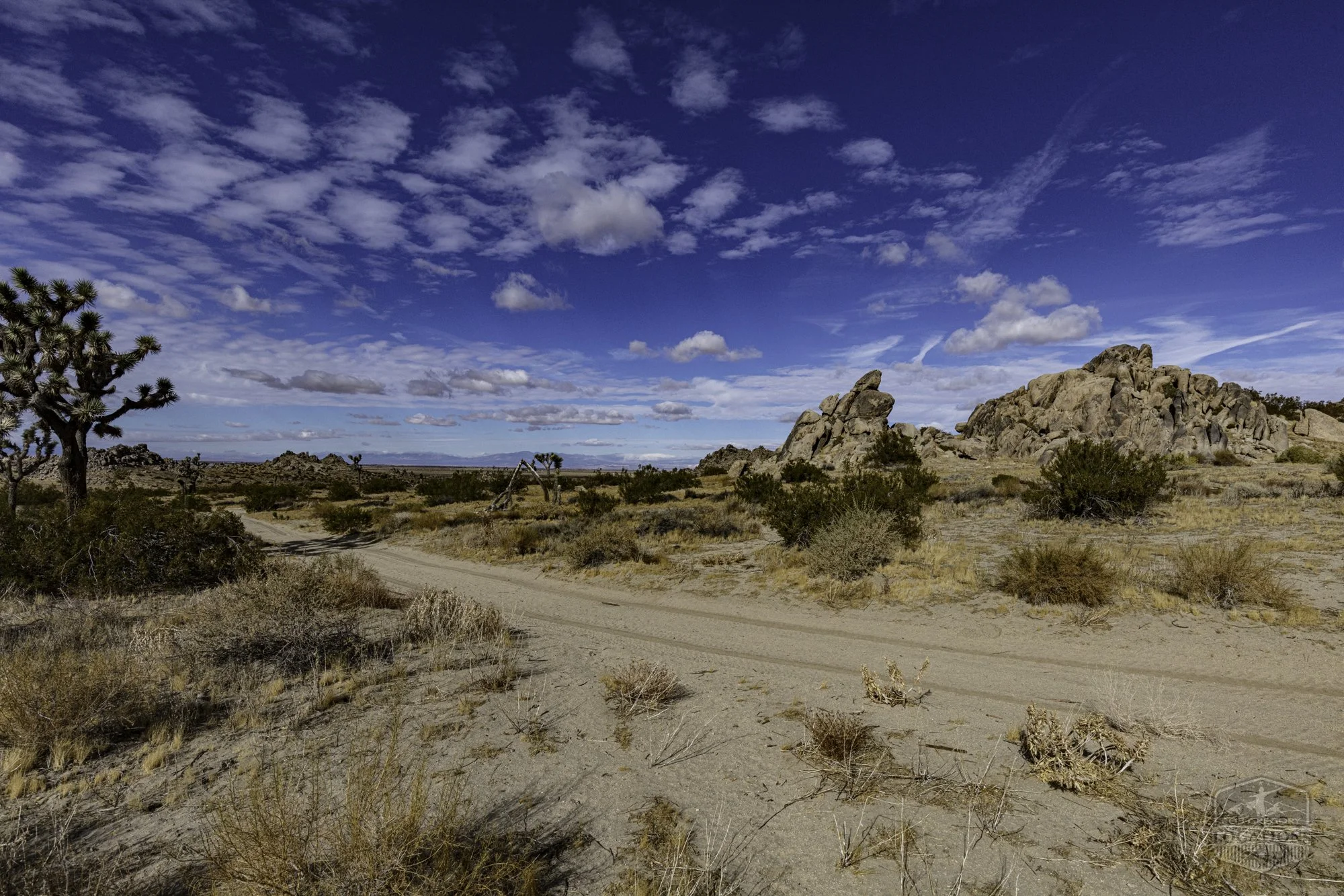 Rocky Buttes - Lancaster - 112424 -016.jpg