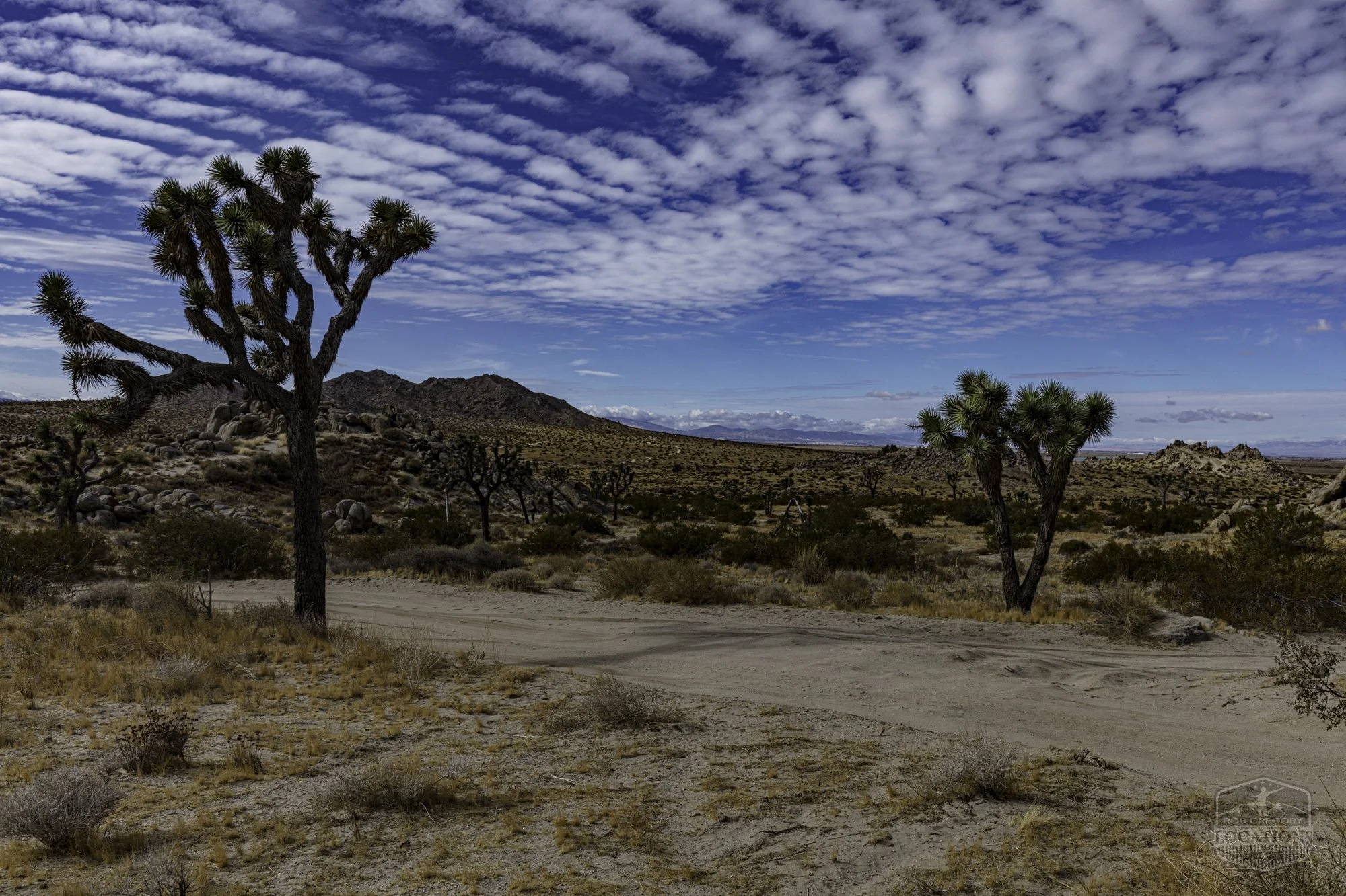 Rocky Buttes - Lancaster - 112424 -031.jpg