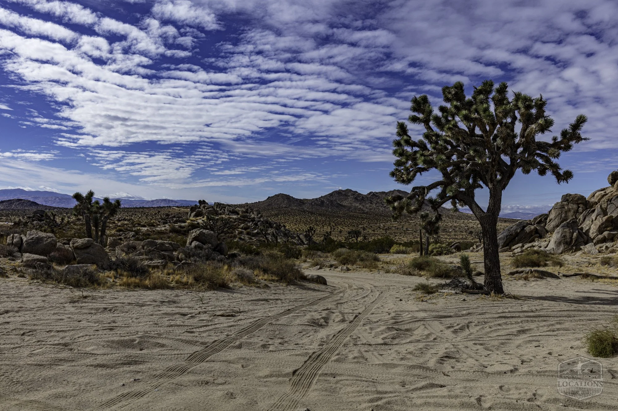 Rocky Buttes - Lancaster - 112424 -029.jpg