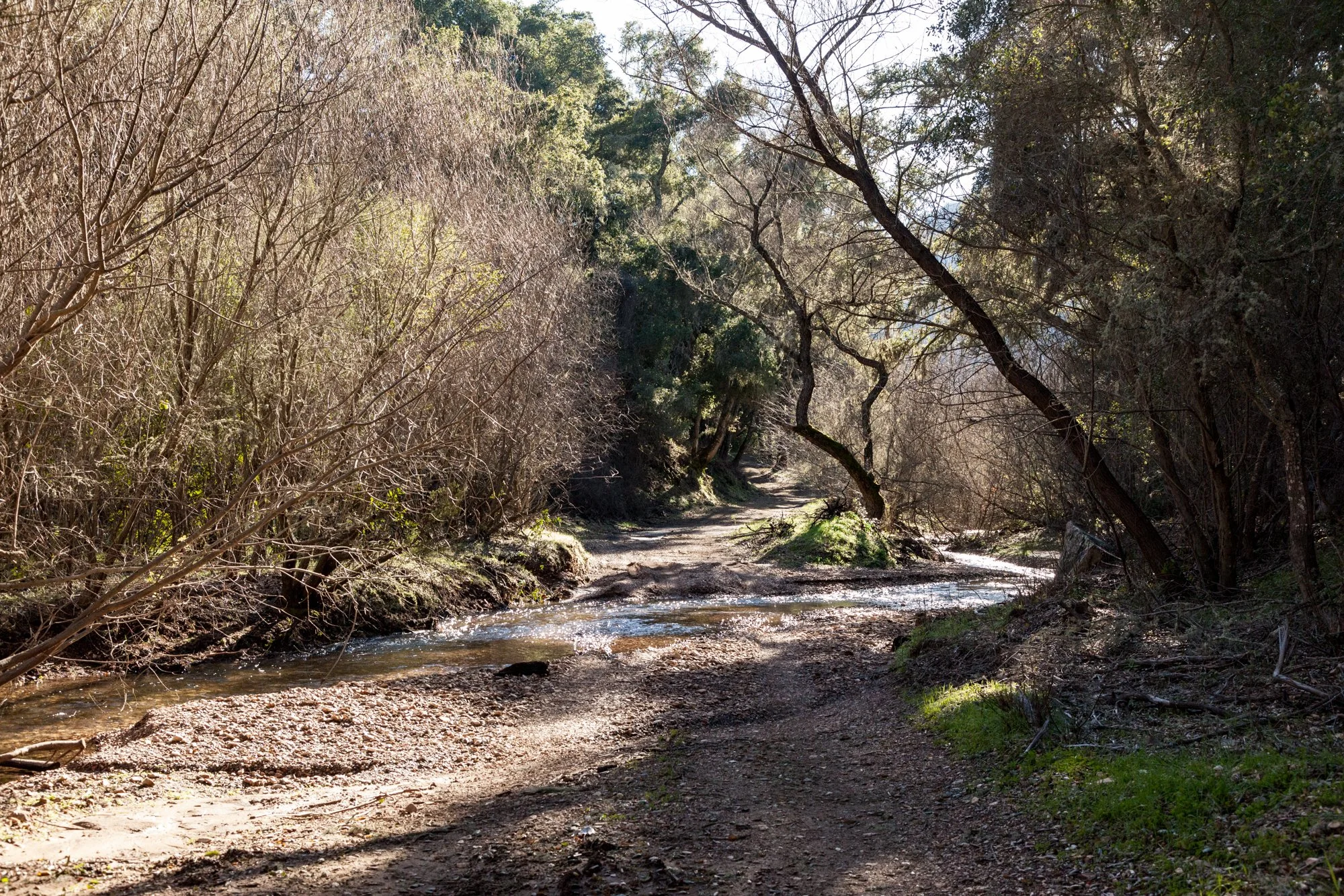 Rnch- Santa Margarita Ranch - 59.jpg