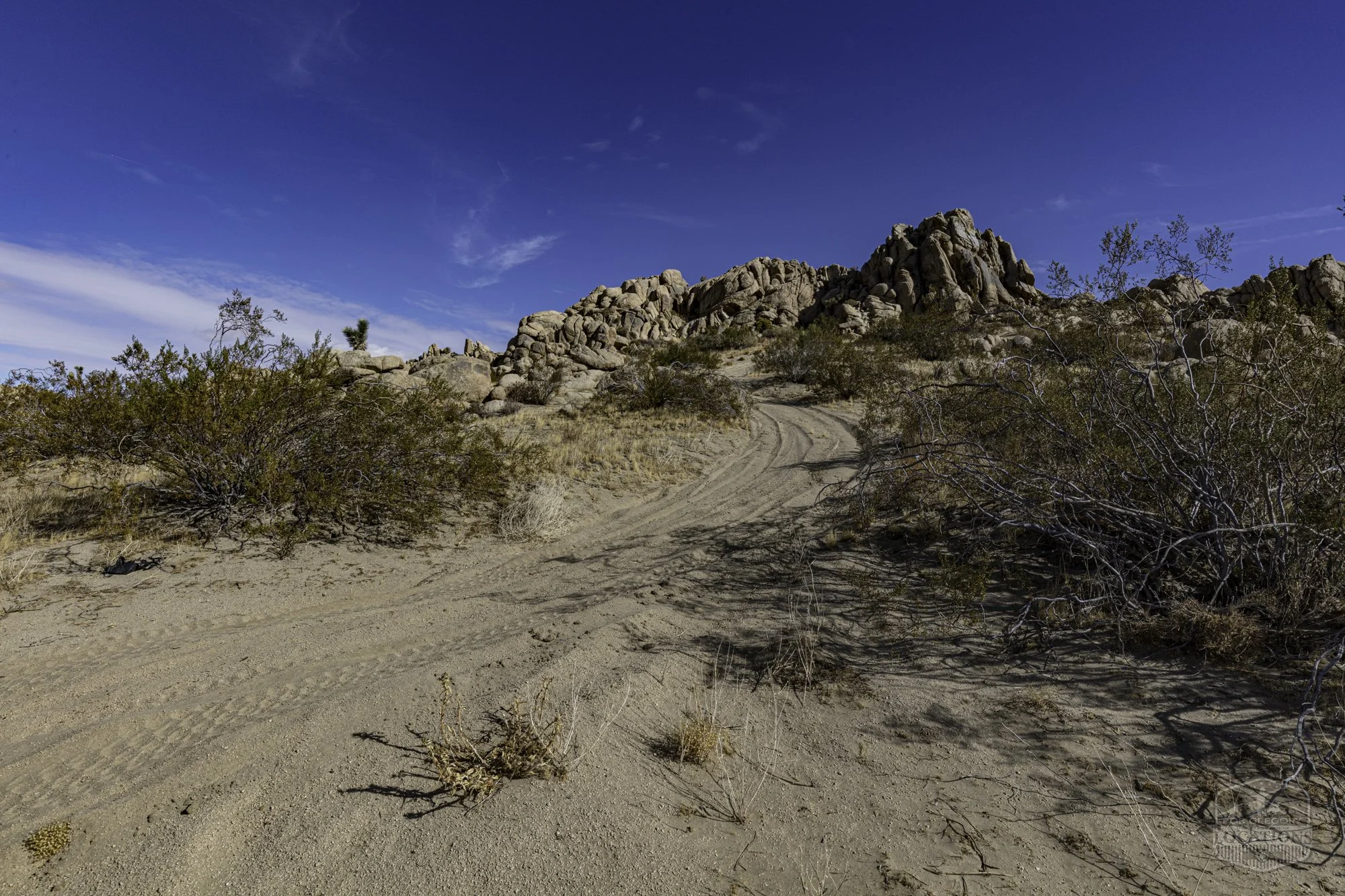 Rocky Buttes - Lancaster - 112424 -041.jpg