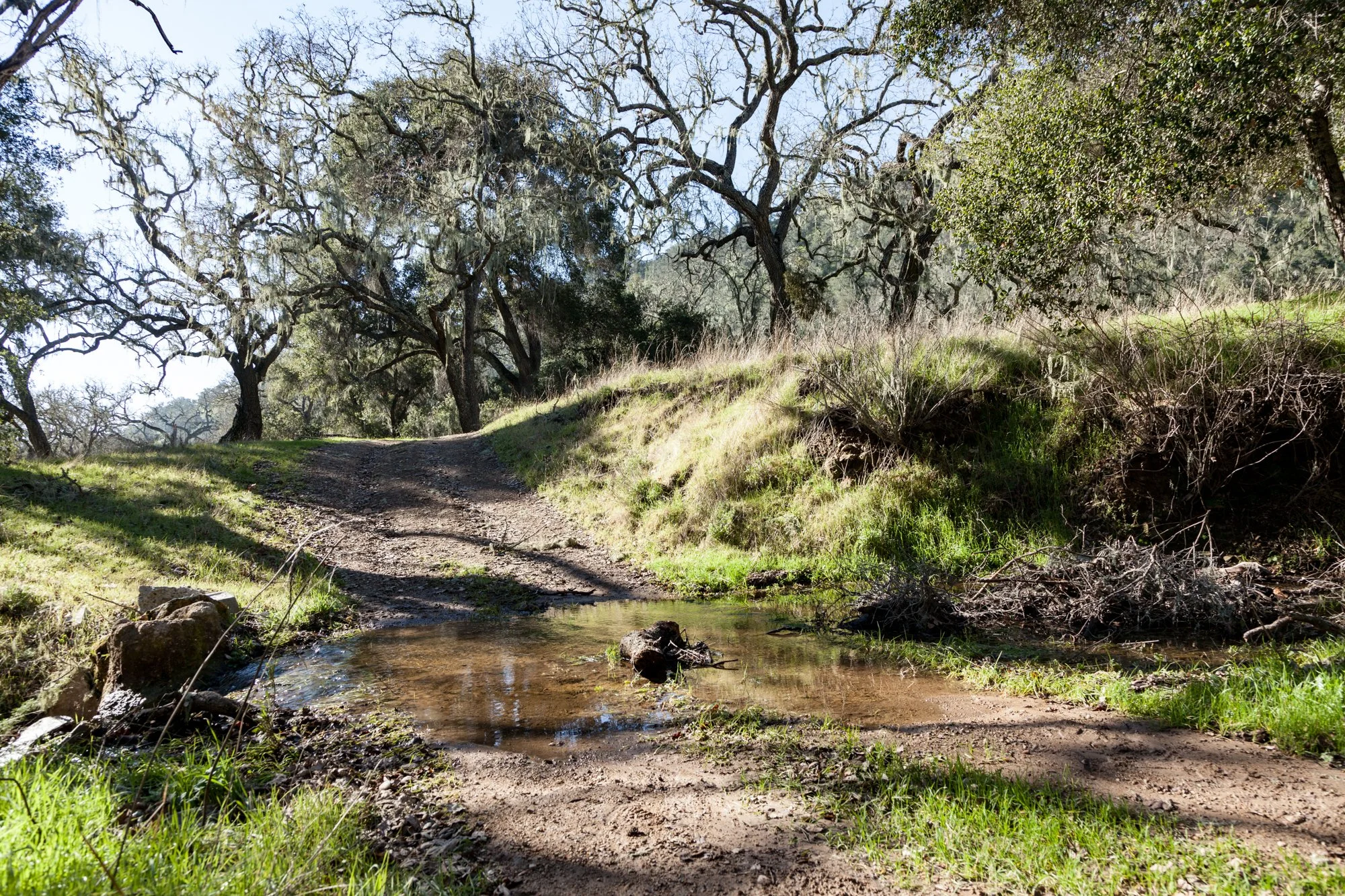 Rnch- Porter Ranch - Santa Maria - 34.jpg