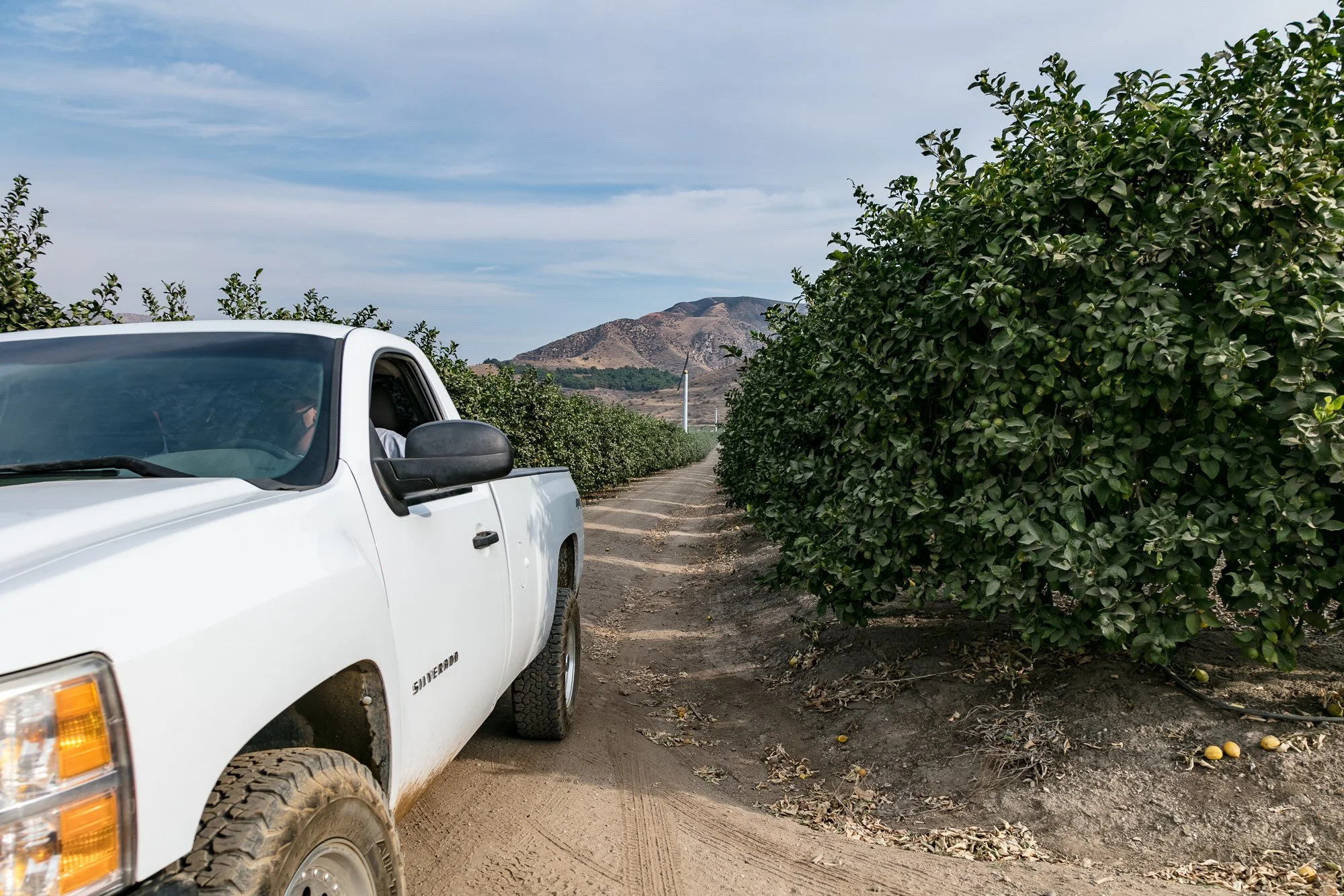 Rancho Temescal - Ranch Roads - Piru -7.jpg