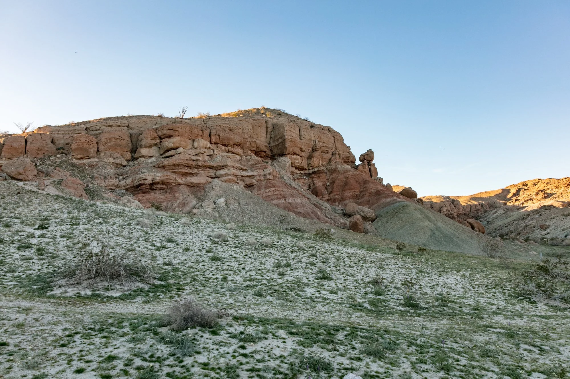 Ntr- Anza Borrego - Badlands - 0219 -91.jpg